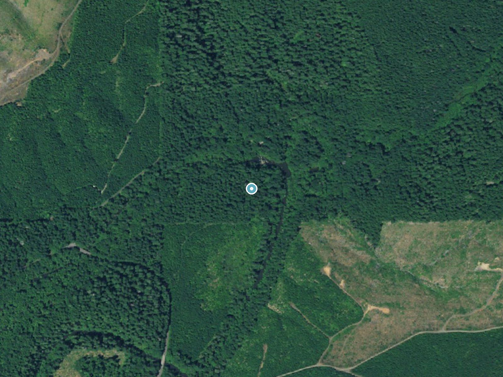 Aerial view of the ground around Siuslaw Falls near Veneta, Oregon