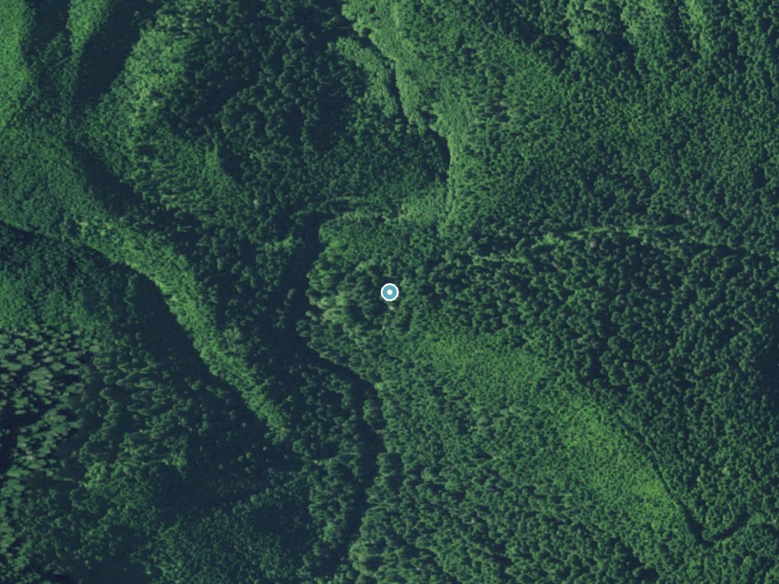 Aerial view of the ground around Lower Kentucky Falls near Mapleton, Oregon