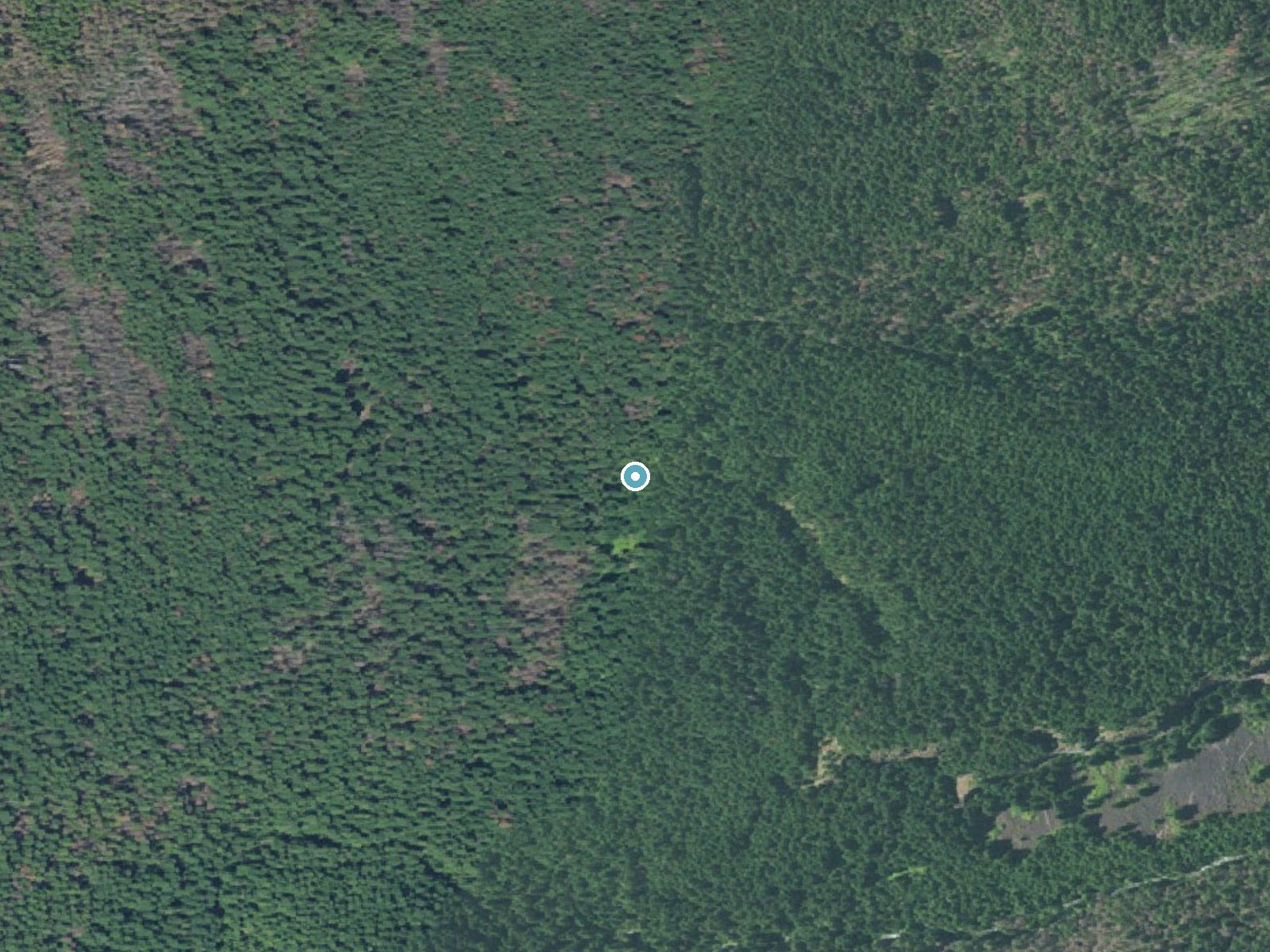 Aerial view of the ground around Honey Creek Falls near Black Butte Ranch, Oregon