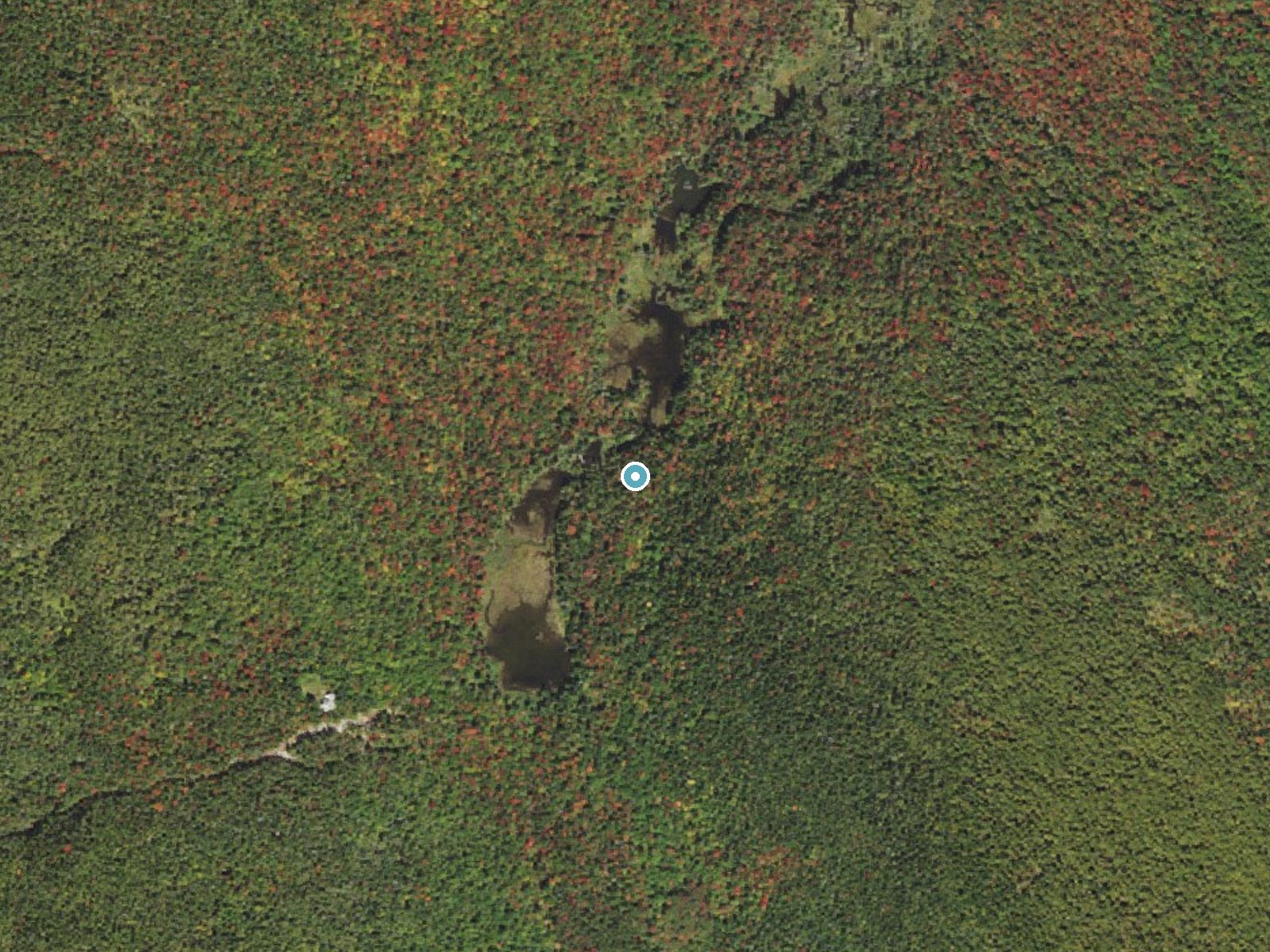 Aerial photo of the same ground around Zealand Falls near North Woodstock, New Hampshire, for comparison with the lidar view