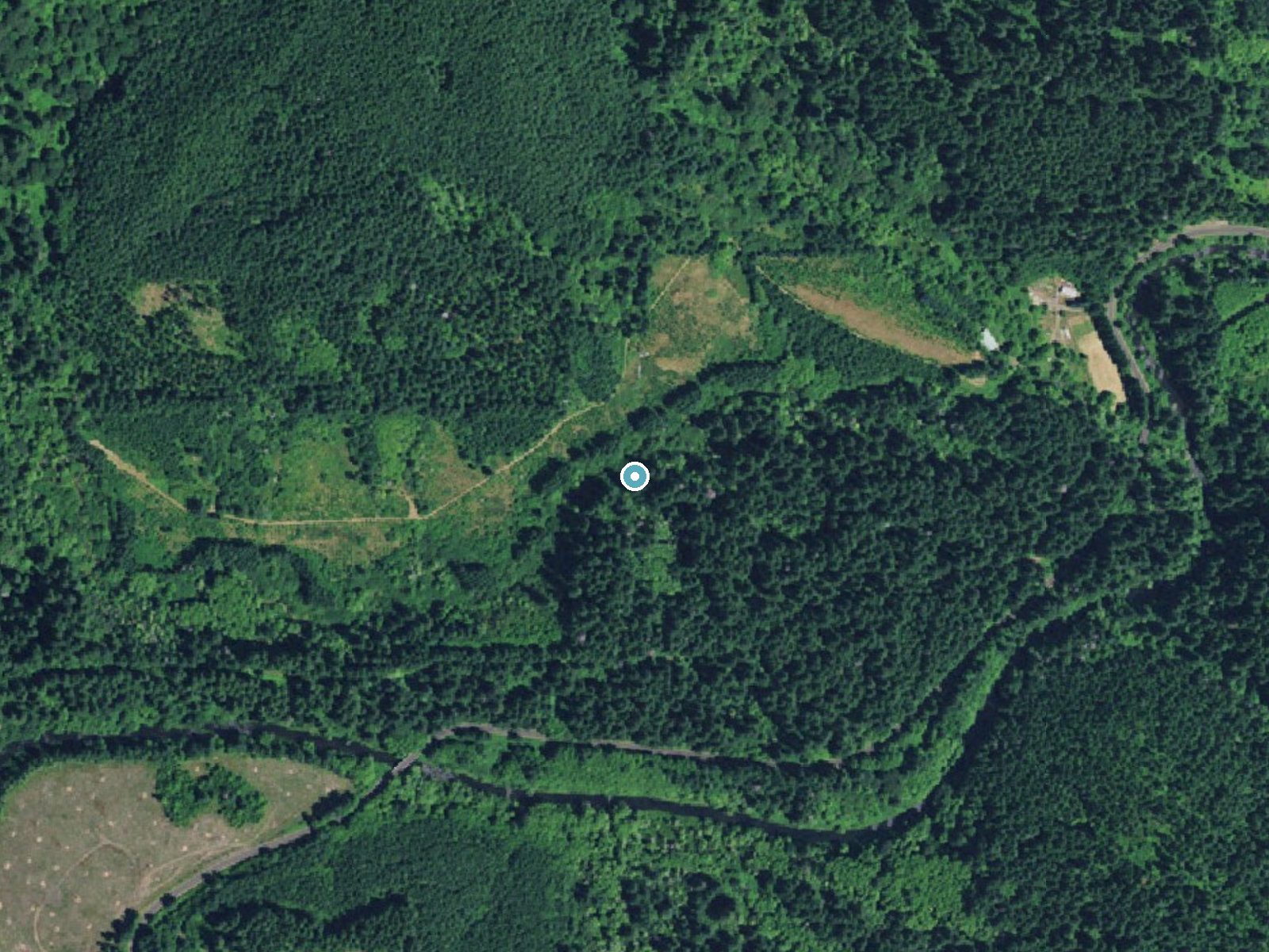 Aerial photo of the same ground around Cascade Falls near Yachats, Oregon, for comparison with the lidar view