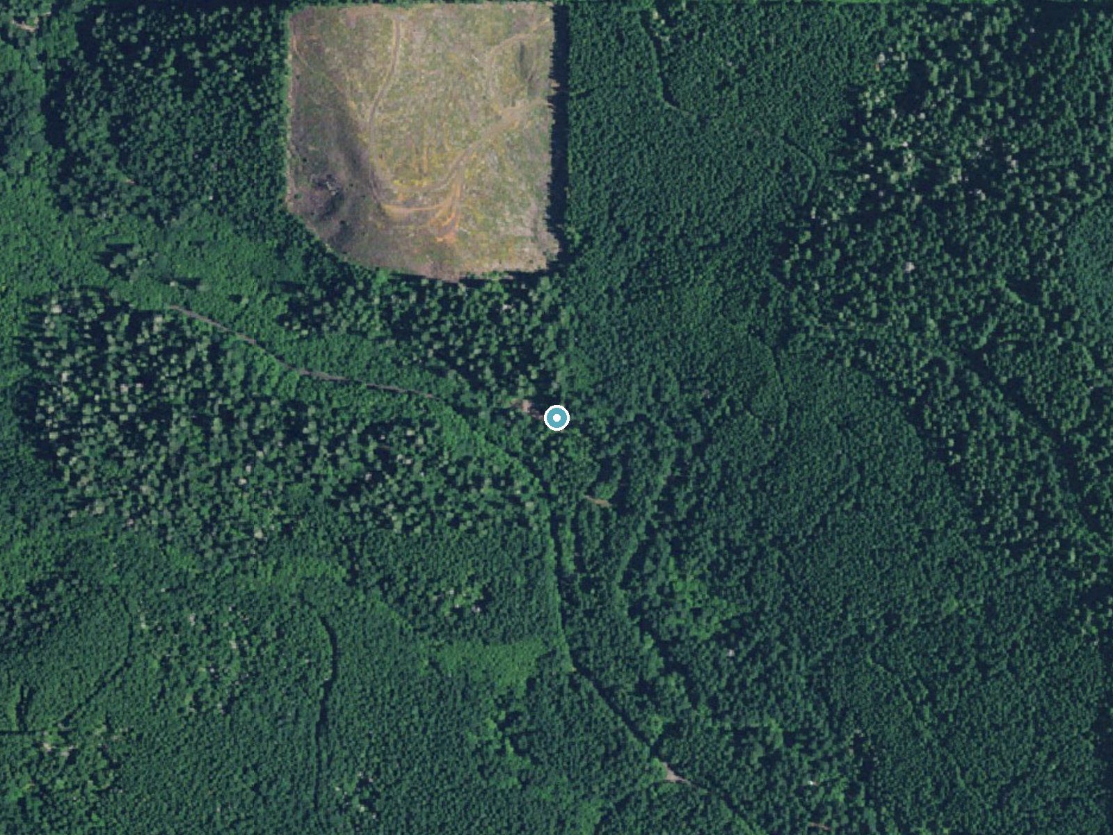 Aerial photo of the same ground around Alsea Falls near Alpine, Oregon, for comparison with the lidar view