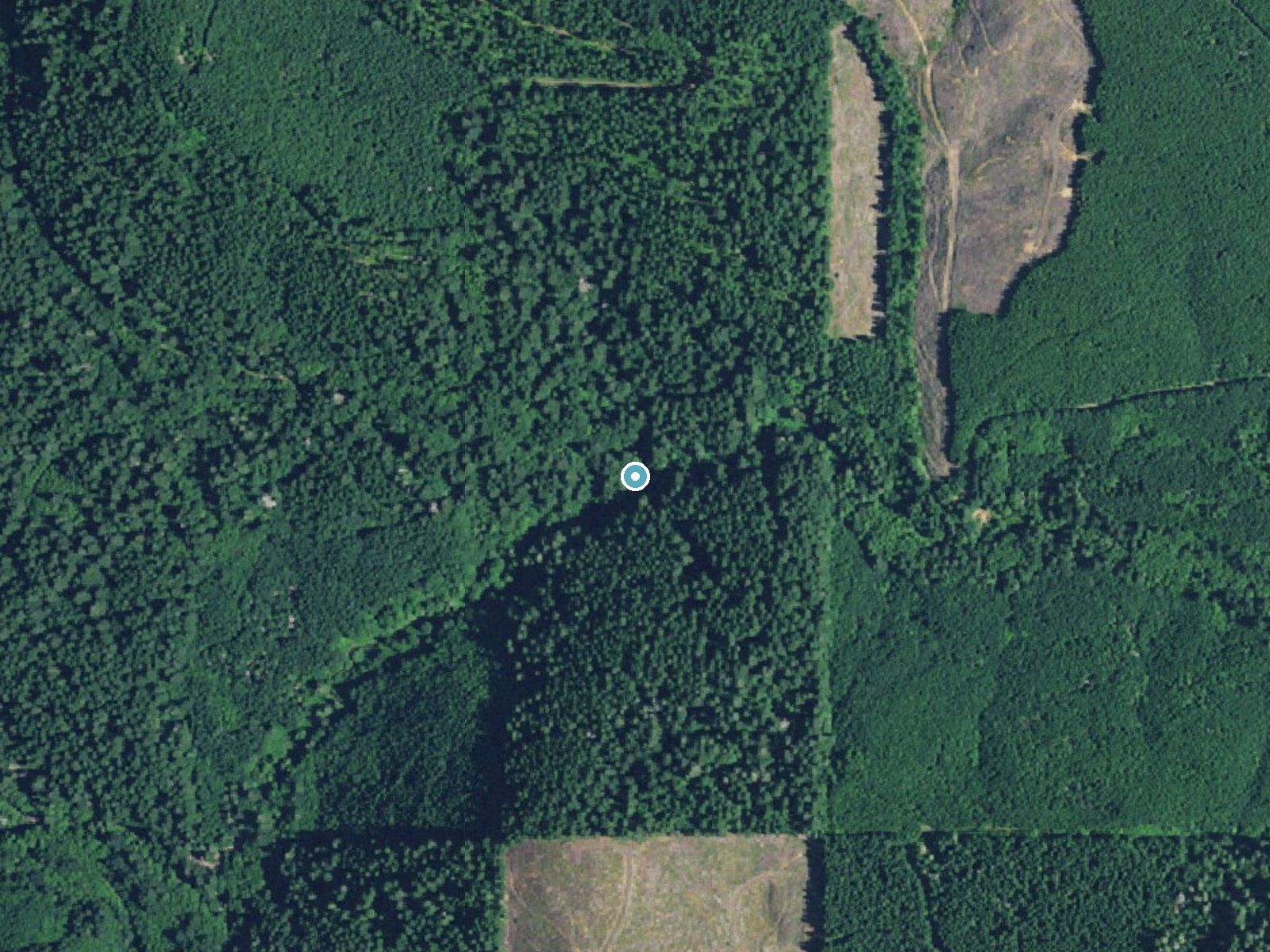 Aerial photo of the same ground around Green Peak Falls near Alpine, Oregon, for comparison with the lidar view