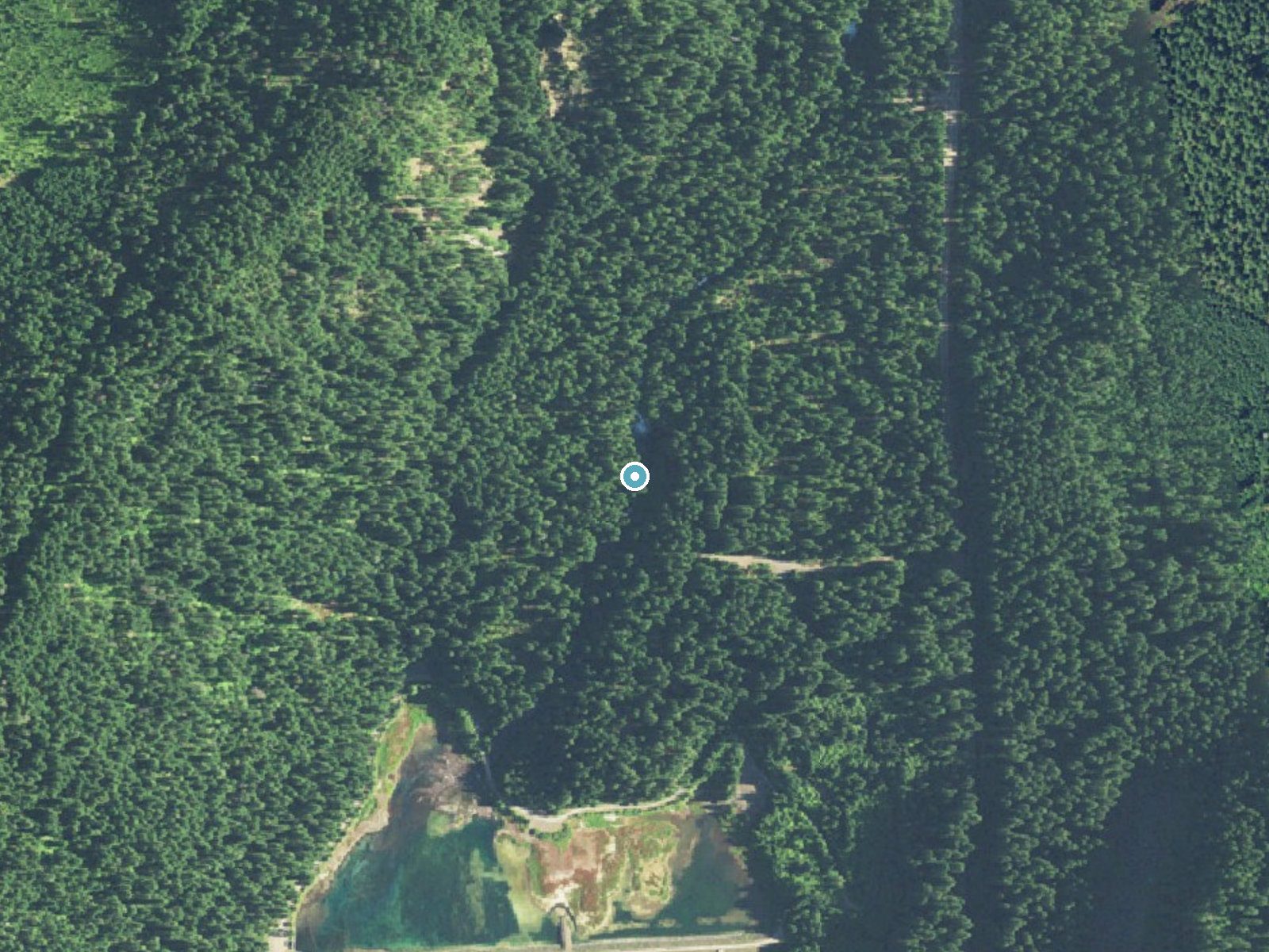 Aerial photo of the same ground around Koosah Falls near Black Butte Ranch, Oregon, for comparison with the lidar view
