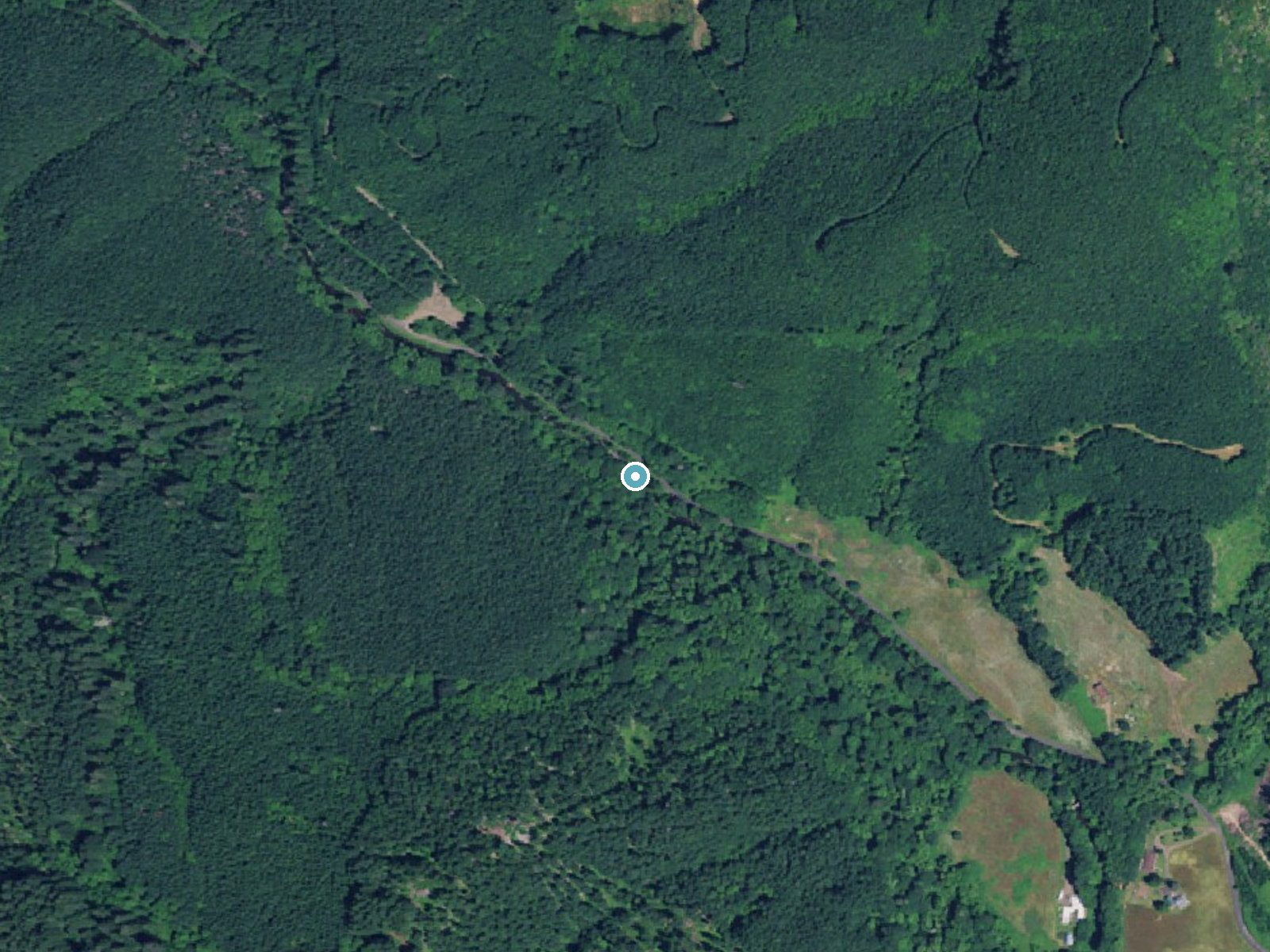 Aerial photo of the same ground around Fall Creek Falls near Alsea, Oregon, for comparison with the lidar view