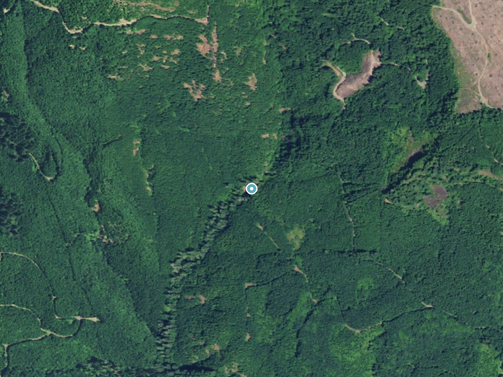 Aerial photo of the same ground around Upper Soda Falls near Cascadia, Oregon, for comparison with the lidar view