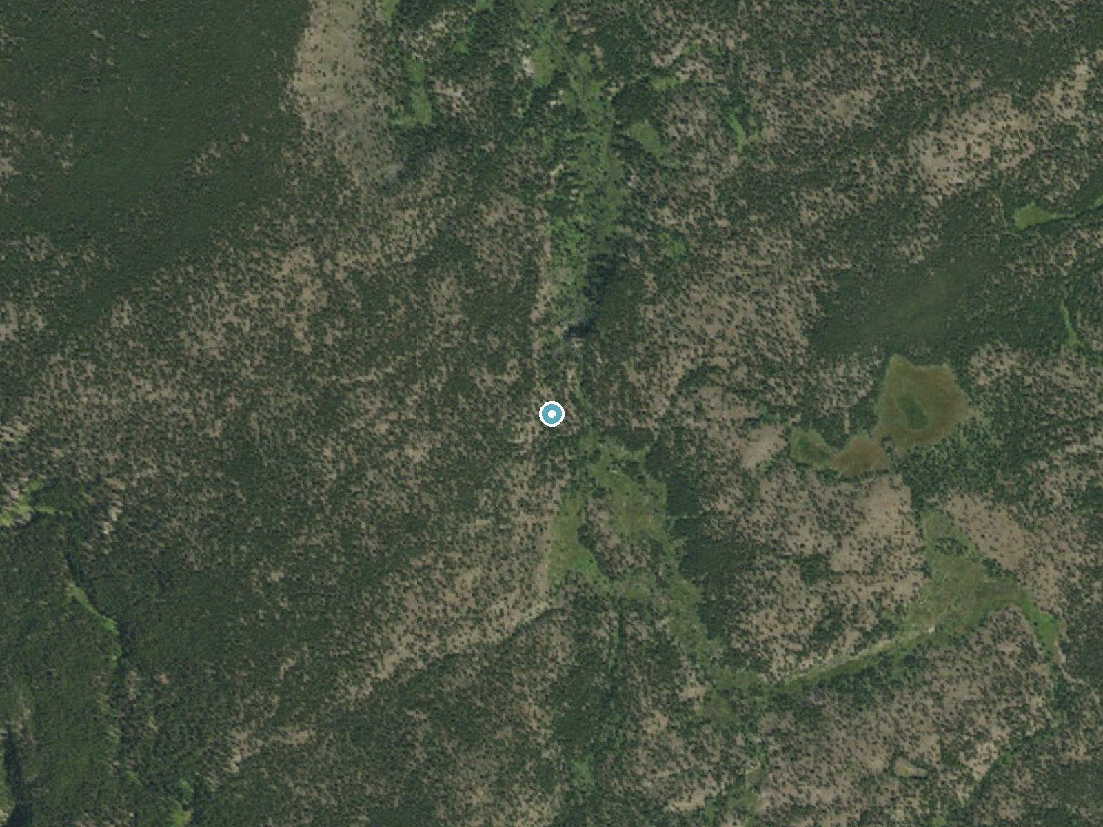 Aerial photo of the same ground around Fern Cascades near West Yellowstone, Wyoming, for comparison with the lidar view