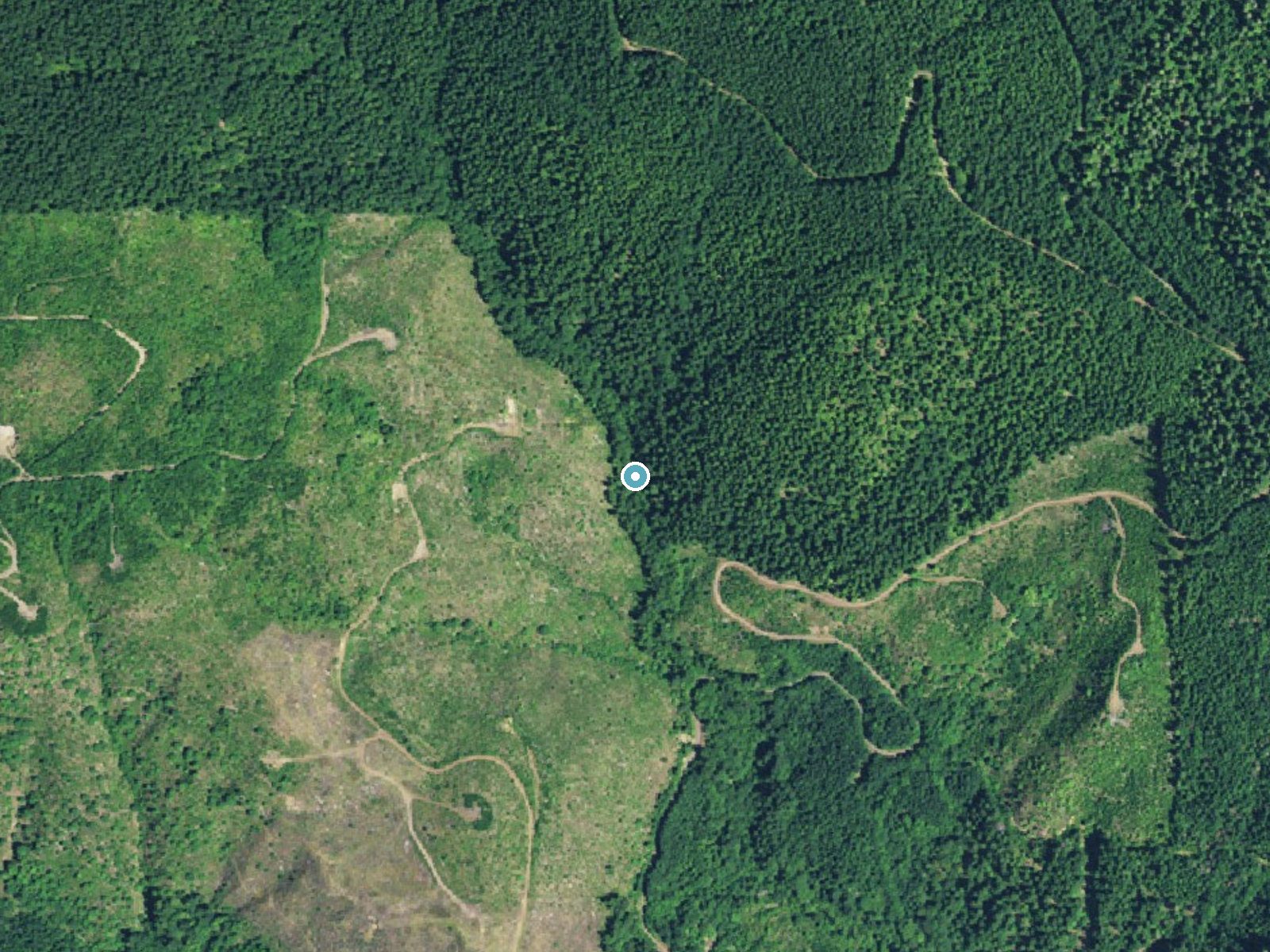 Aerial photo of the same ground around Painter Falls near Cascadia, Oregon, for comparison with the lidar view