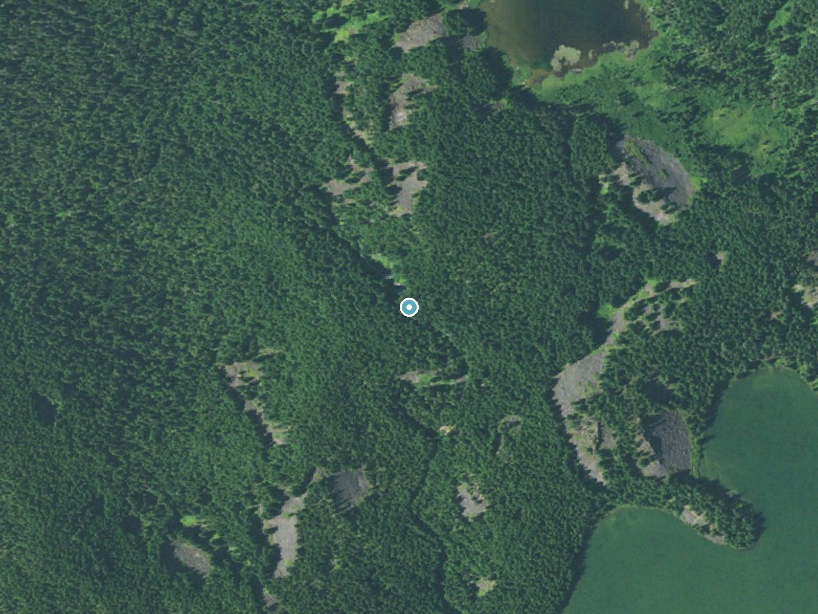Aerial view of the ground around Marion Falls near Camp Sherman, Oregon