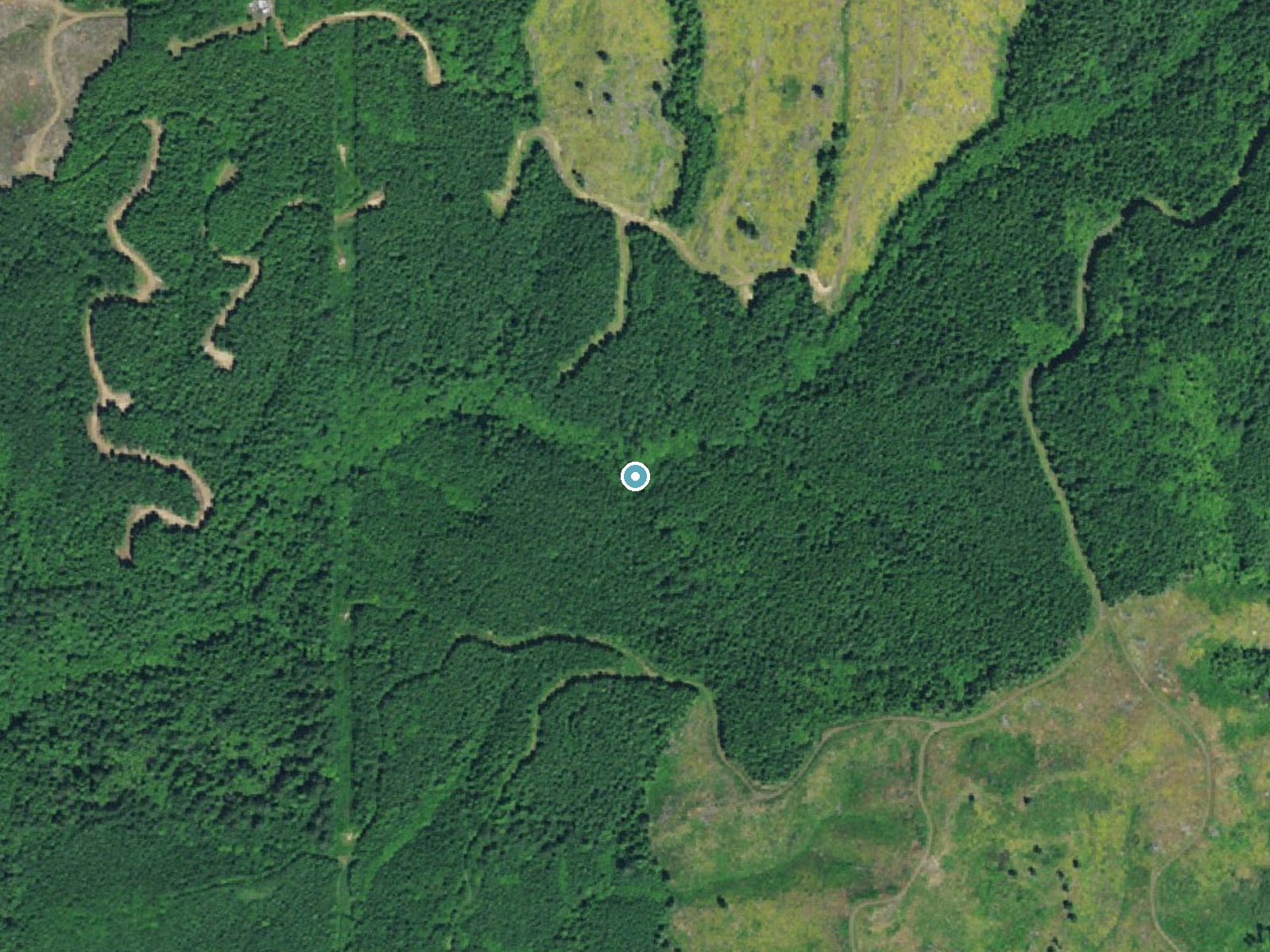 Aerial photo of the same ground around Martin Falls near Newport, Oregon, for comparison with the lidar view
