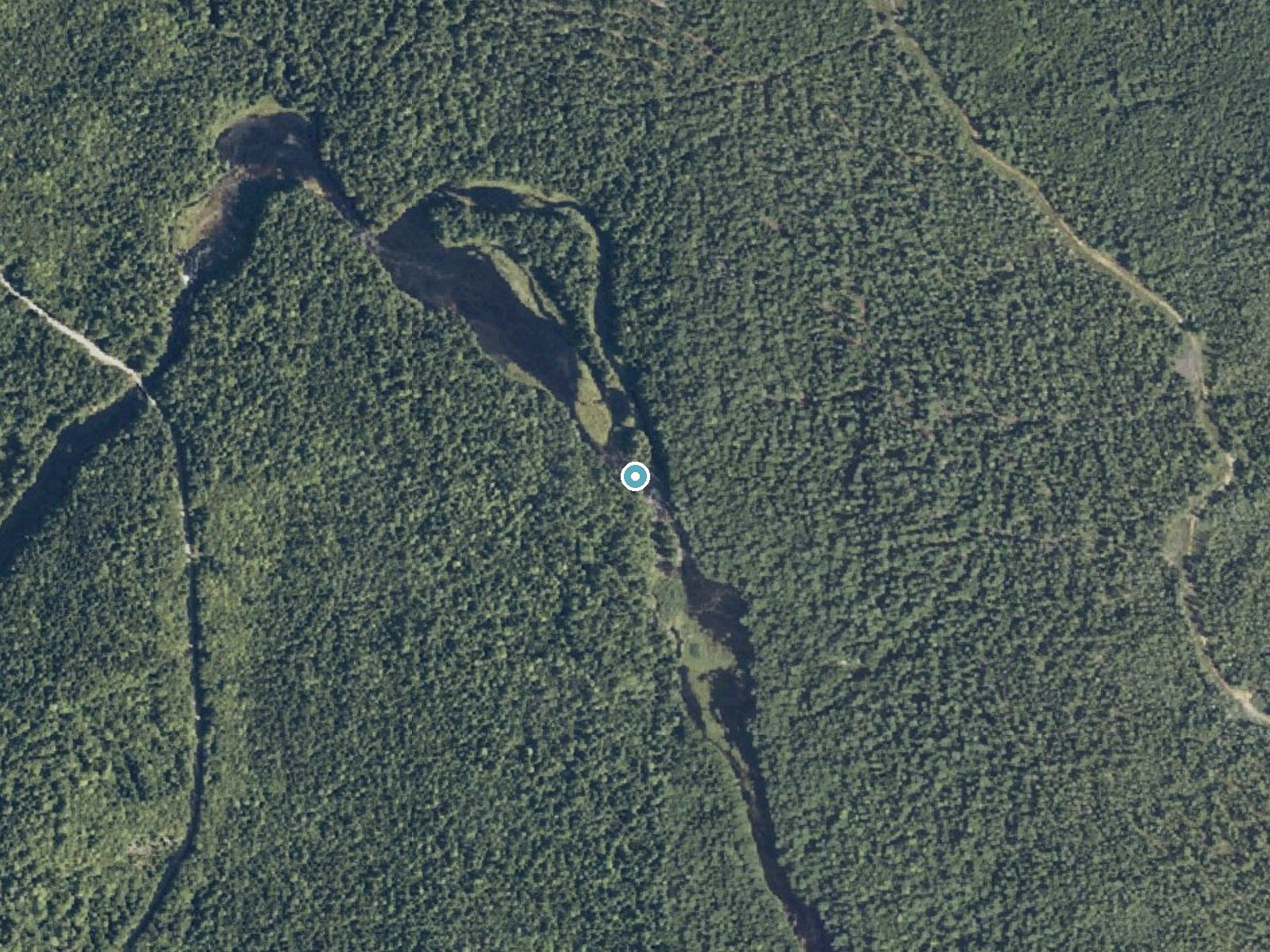 Aerial photo of the same ground around Holmes Falls near Jonesport, Maine, for comparison with the lidar view