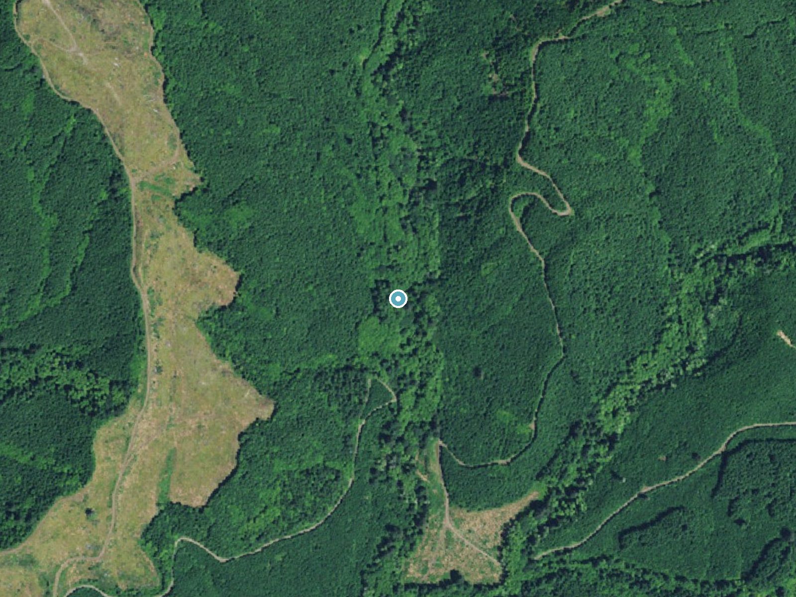Aerial photo of the same ground around Euchre Falls near Siletz, Oregon, for comparison with the lidar view