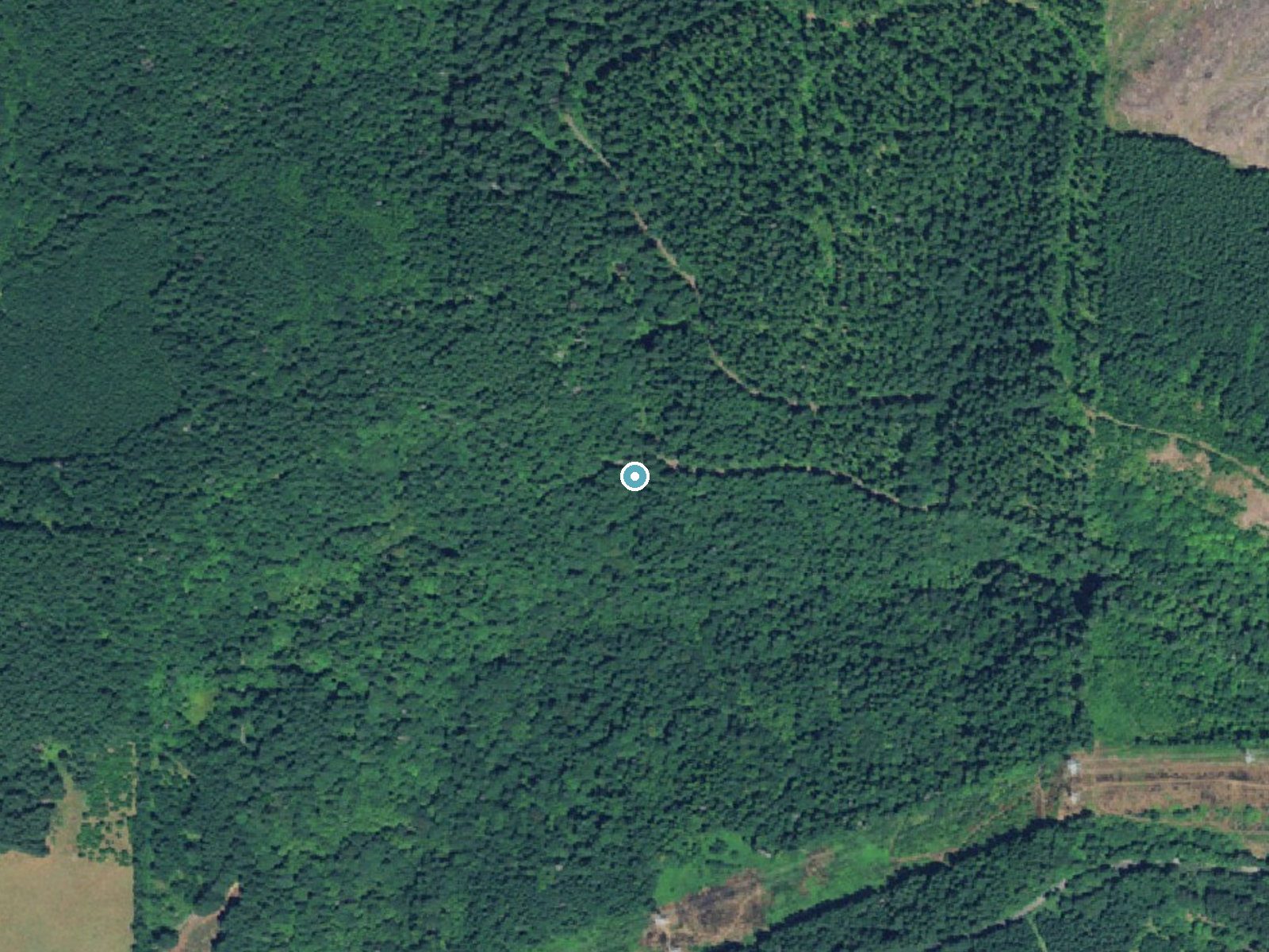 Aerial photo of the same ground around Lower Shellburg Falls near Lyons, Oregon, for comparison with the lidar view