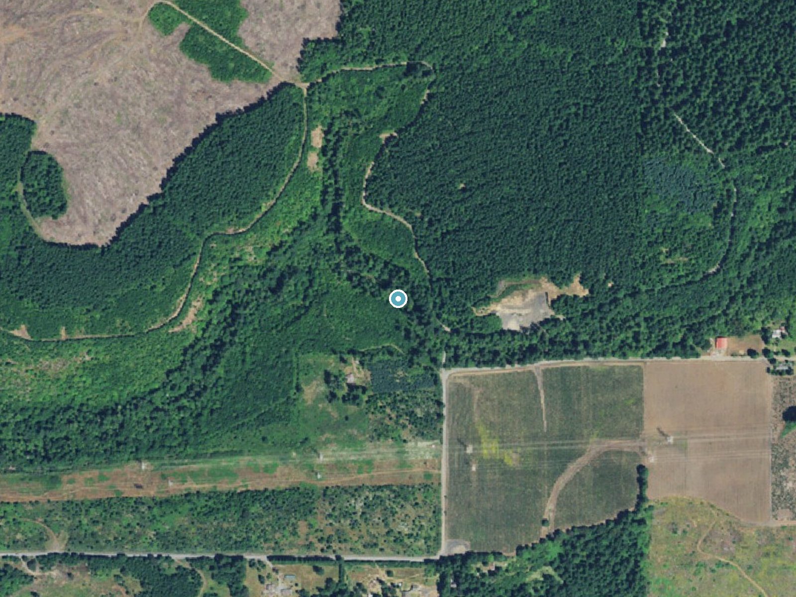 Aerial photo of the same ground around Horseshoe Falls near Lyons, Oregon, for comparison with the lidar view