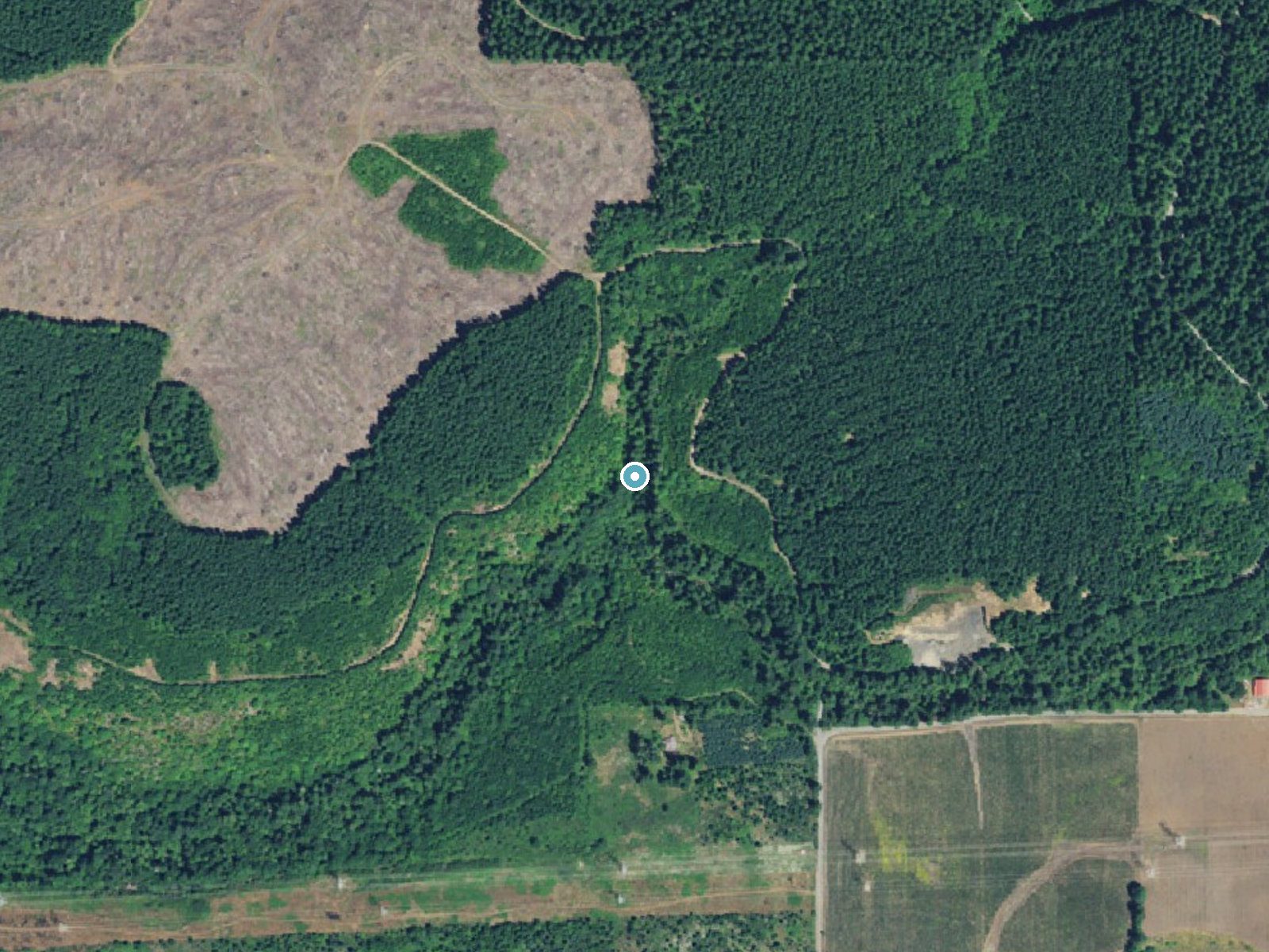 Aerial photo of the same ground around Ayers Creek Falls near Lyons, Oregon, for comparison with the lidar view