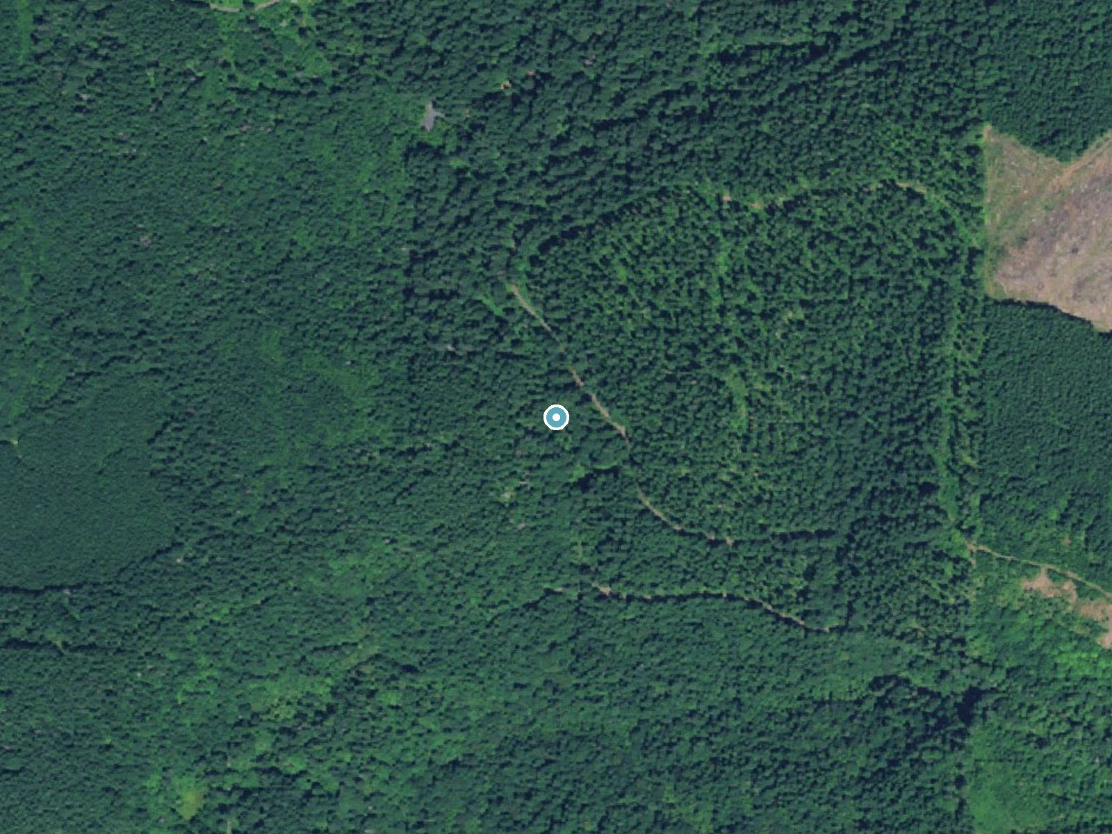 Aerial photo of the same ground around Shellburg Falls near Lyons, Oregon, for comparison with the lidar view