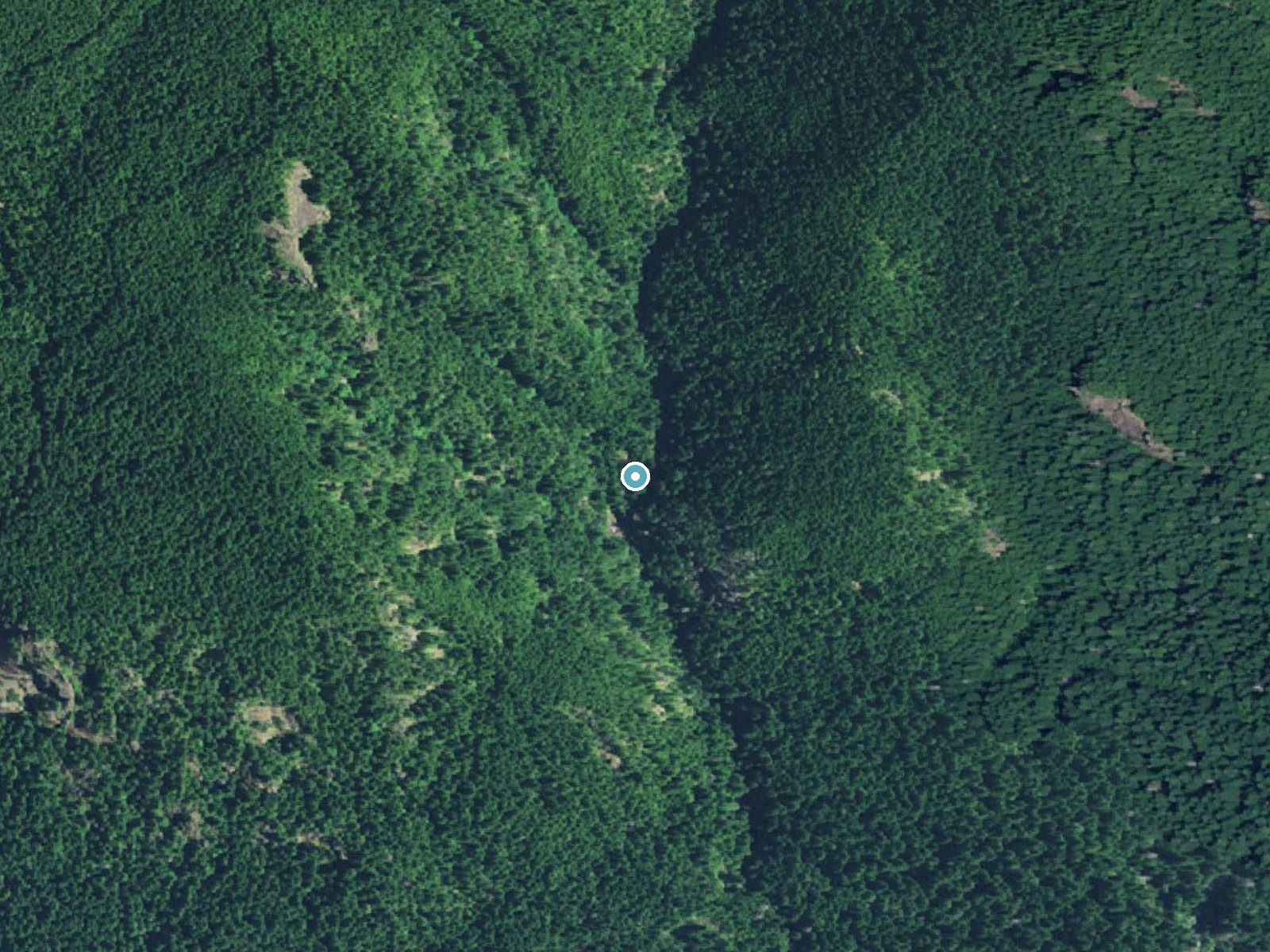 Aerial photo of the same ground around Henline Falls near Gates, Oregon, for comparison with the lidar view