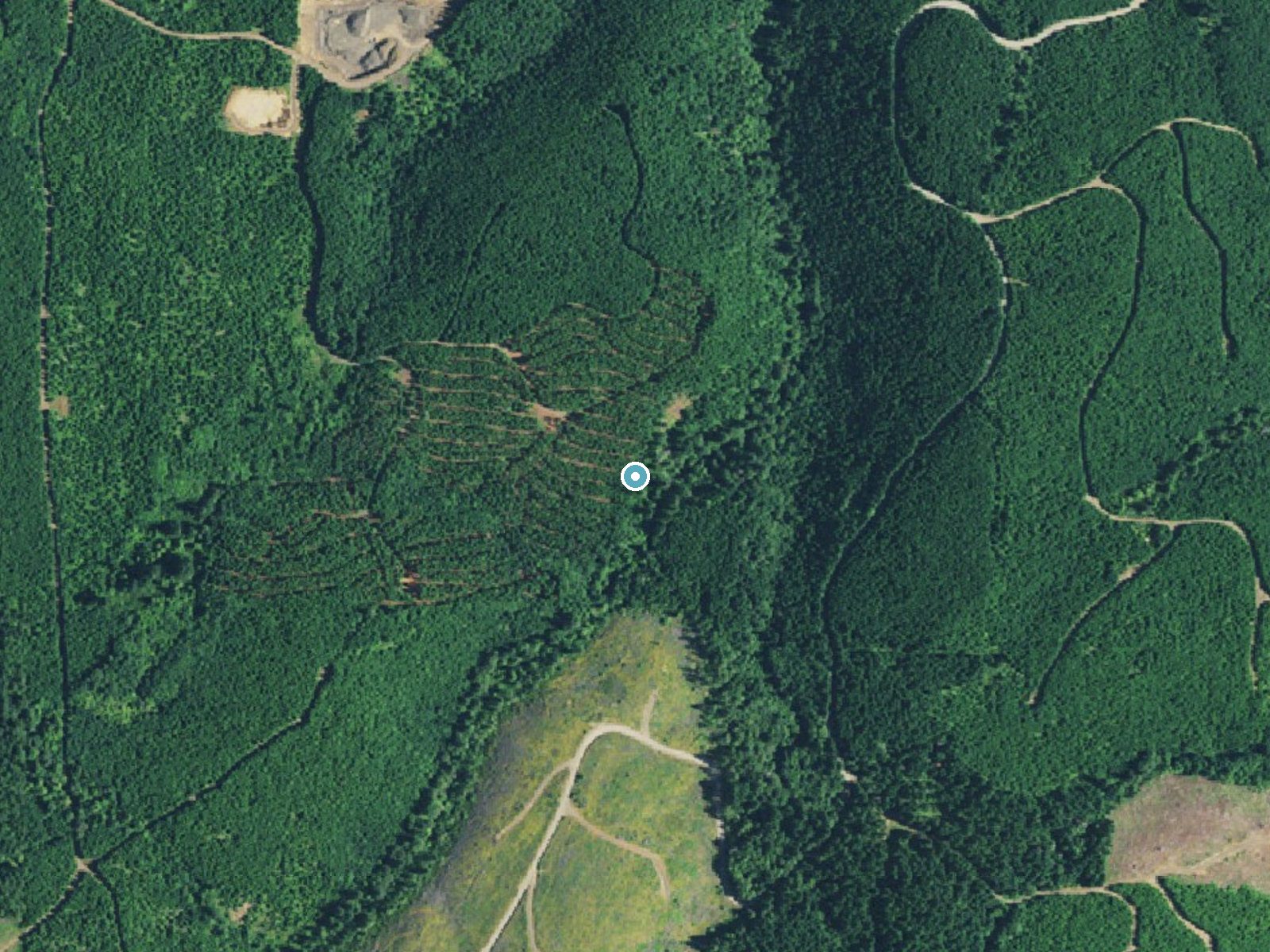 Aerial photo of the same ground around Berry Creek Falls near Falls City, Oregon, for comparison with the lidar view