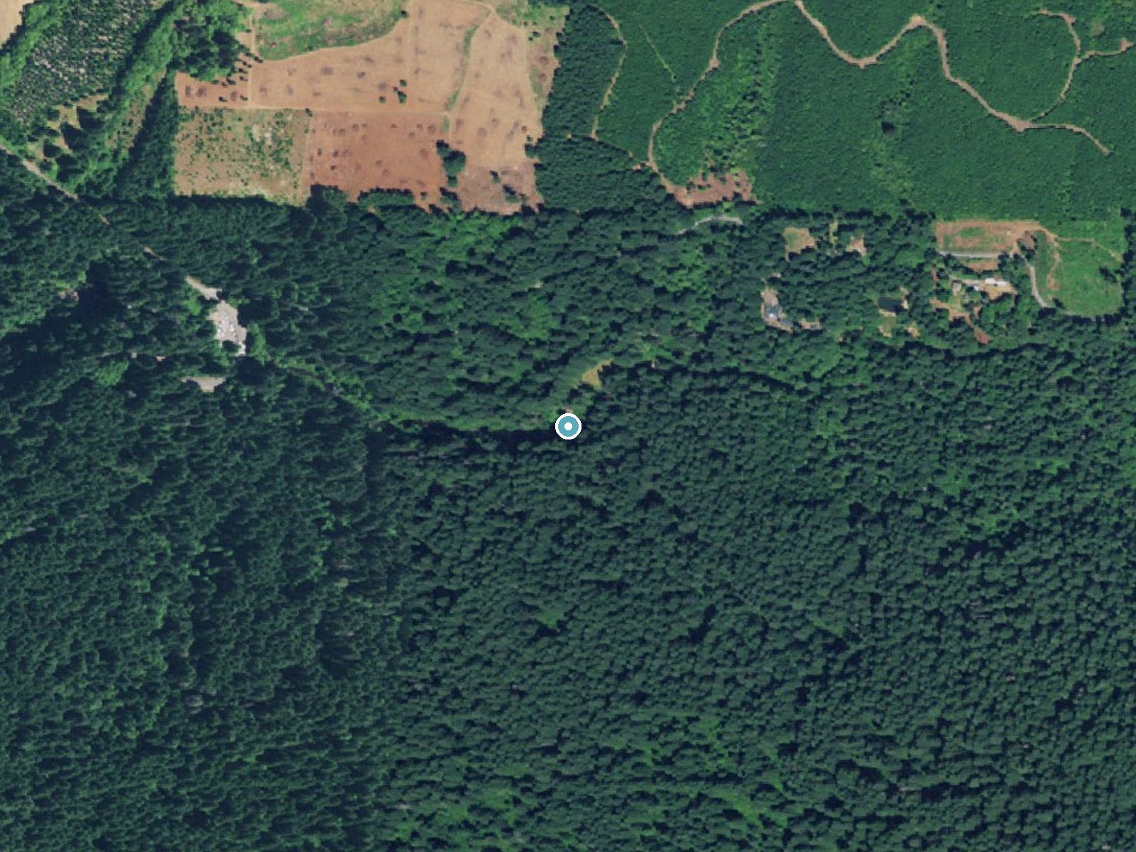 Aerial photo of the same ground around Upper North Falls near Mehama, Oregon, for comparison with the lidar view
