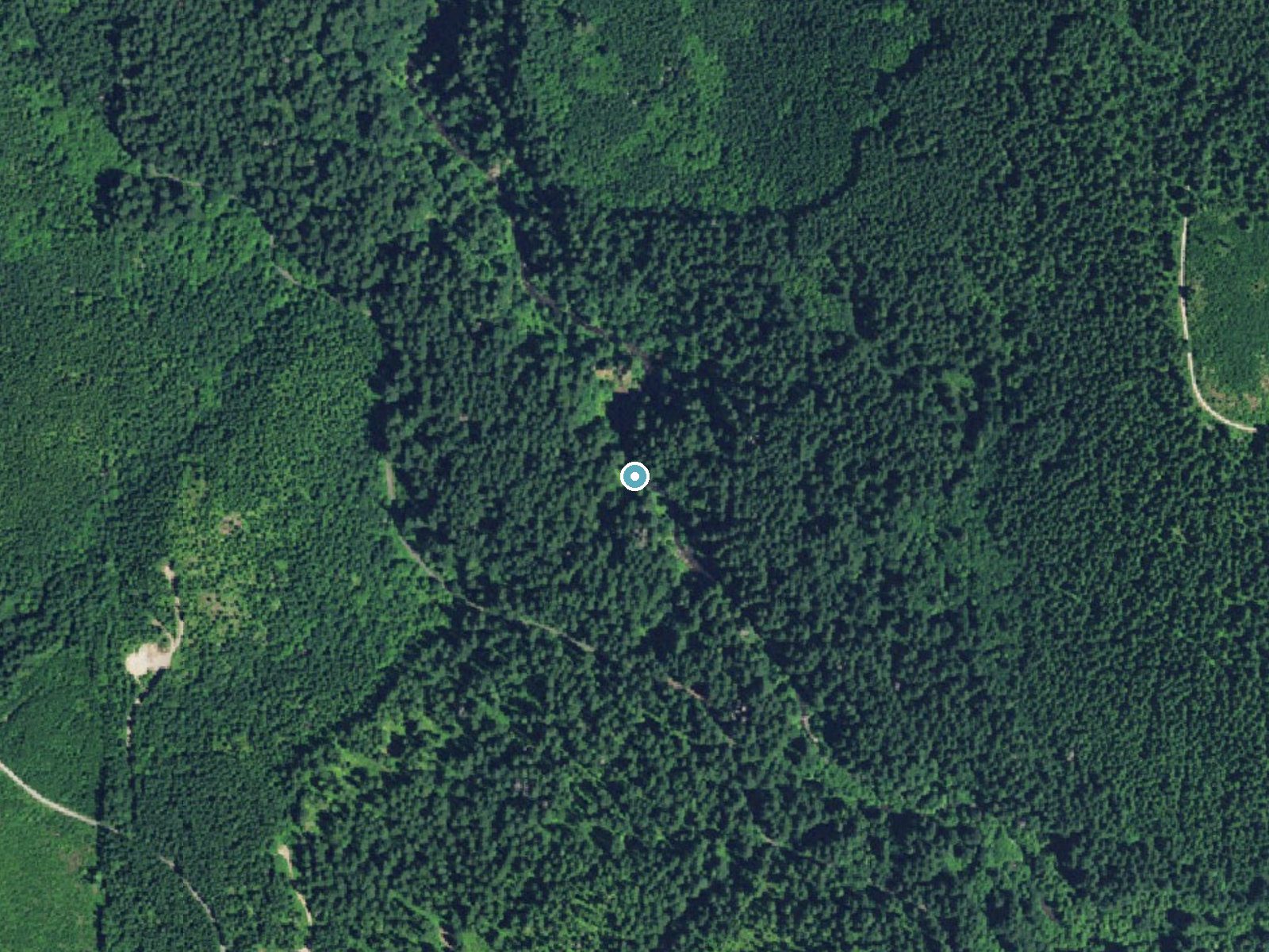 Aerial photo of the same ground around Butte Creek Falls near Mill City, Oregon, for comparison with the lidar view
