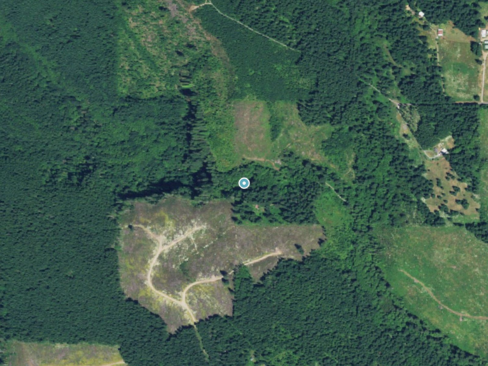 Aerial photo of the same ground around Fall Creek Falls near Scotts Mills, Oregon, for comparison with the lidar view