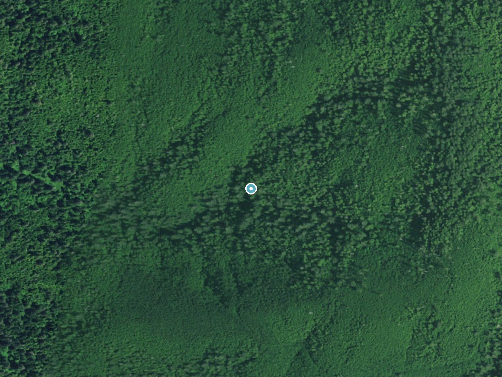 Aerial photo of the same ground around Chitwood Falls near Neskowin, Oregon, for comparison with the lidar view