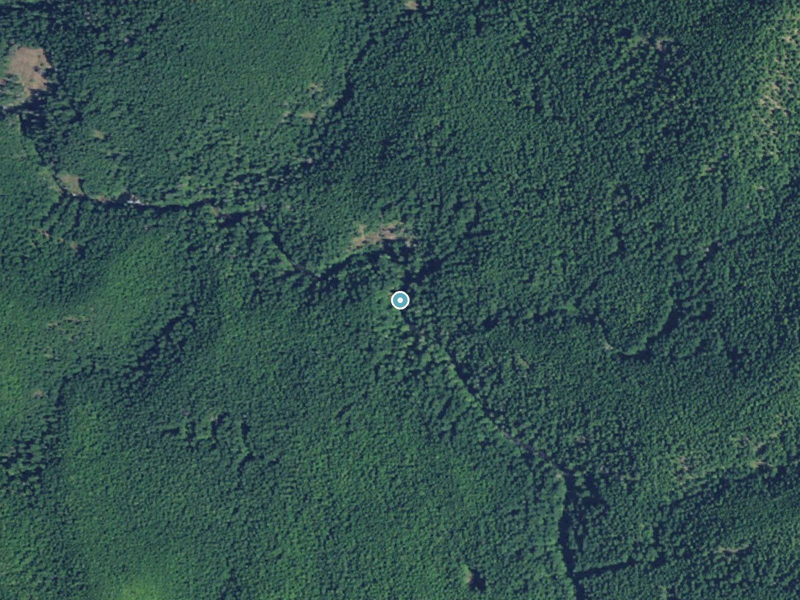 Aerial view of the ground around Little Niagara Falls near Rhododendron, Oregon