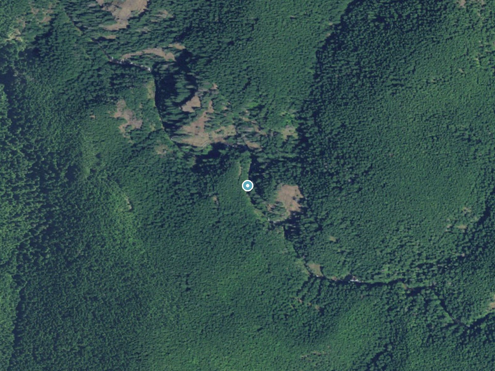 Aerial view of the ground around Frustration Falls near Rhododendron, Oregon