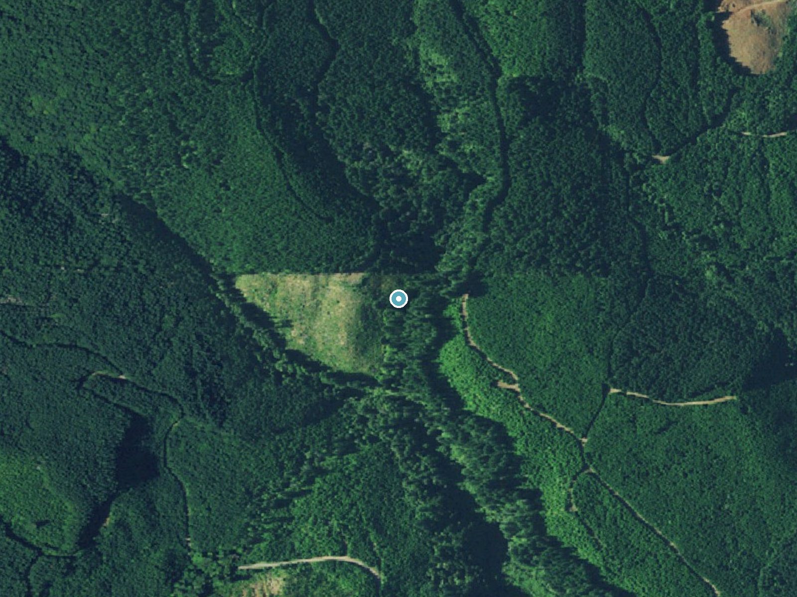 Aerial photo of the same ground around Baker Creek Falls near McMinnville, Oregon, for comparison with the lidar view