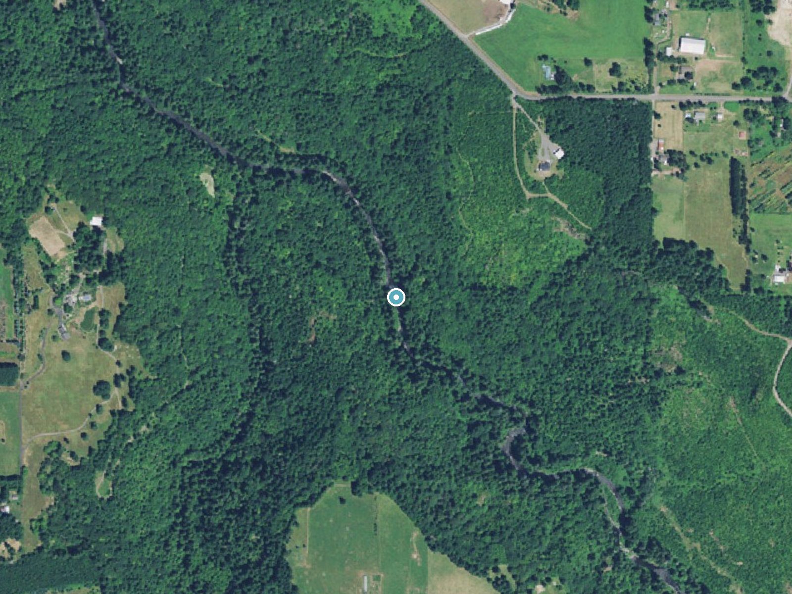 Aerial photo of the same ground around Middle Falls near Estacada, Oregon, for comparison with the lidar view
