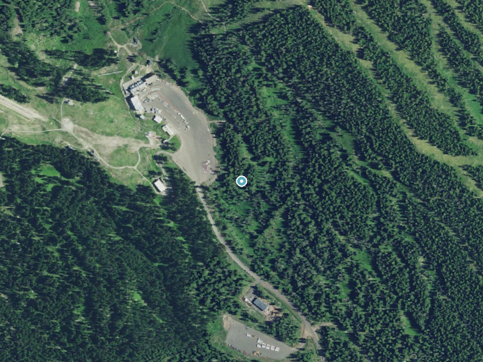 Aerial photo of the same ground around Umbrella Falls near Government Camp, Oregon, for comparison with the lidar view