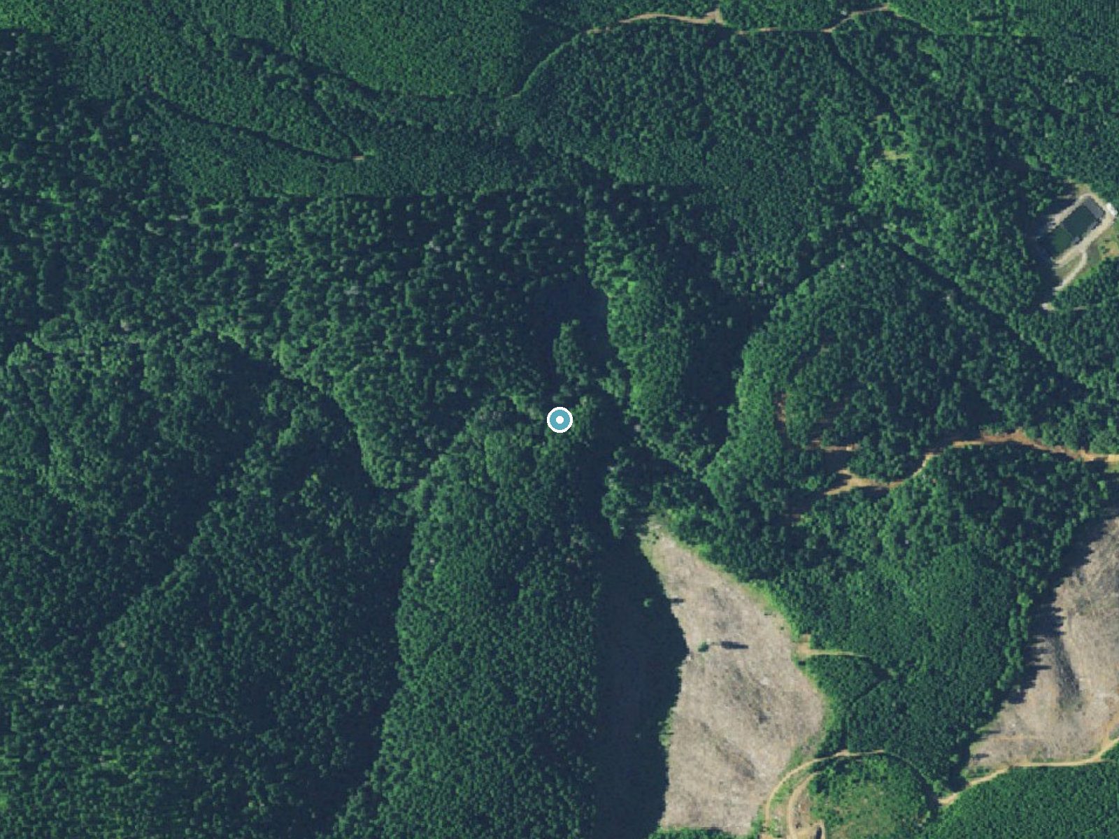 Aerial photo of the same ground around Haines Falls near Cherry Grove, Oregon, for comparison with the lidar view