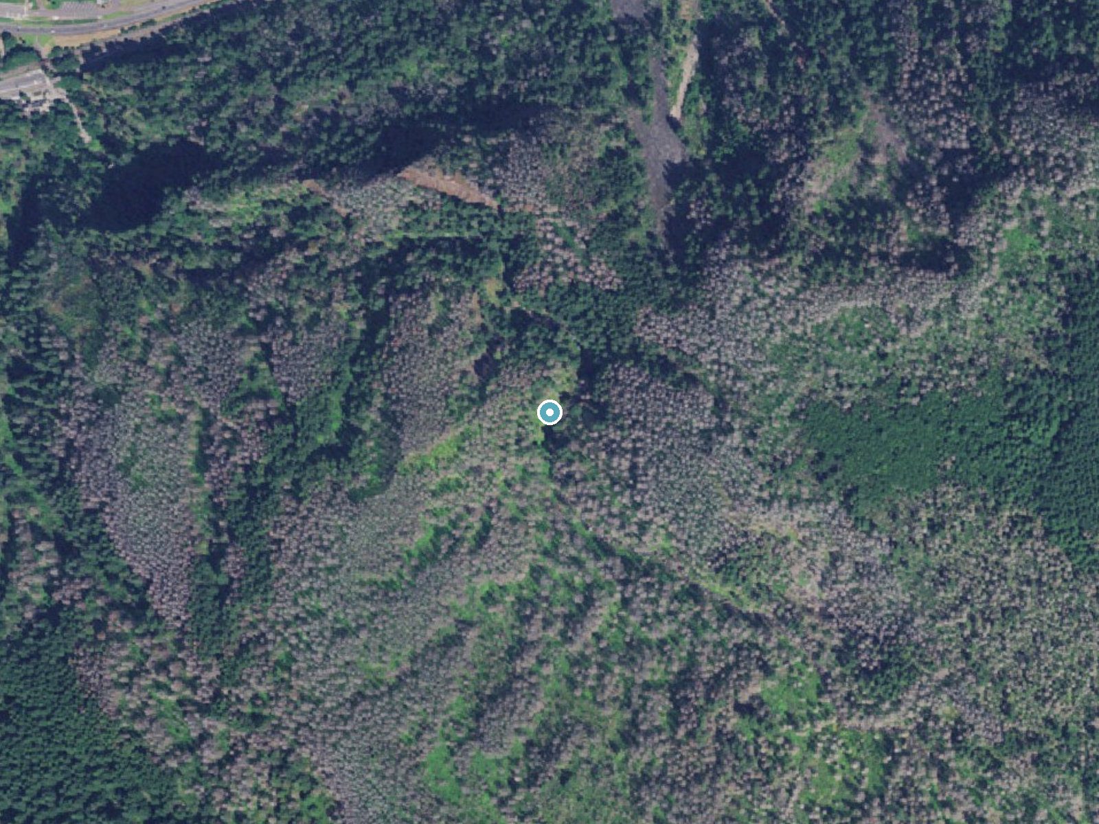 Aerial photo of the same ground around Wiesendanger Falls near North Bonneville, Oregon, for comparison with the lidar view