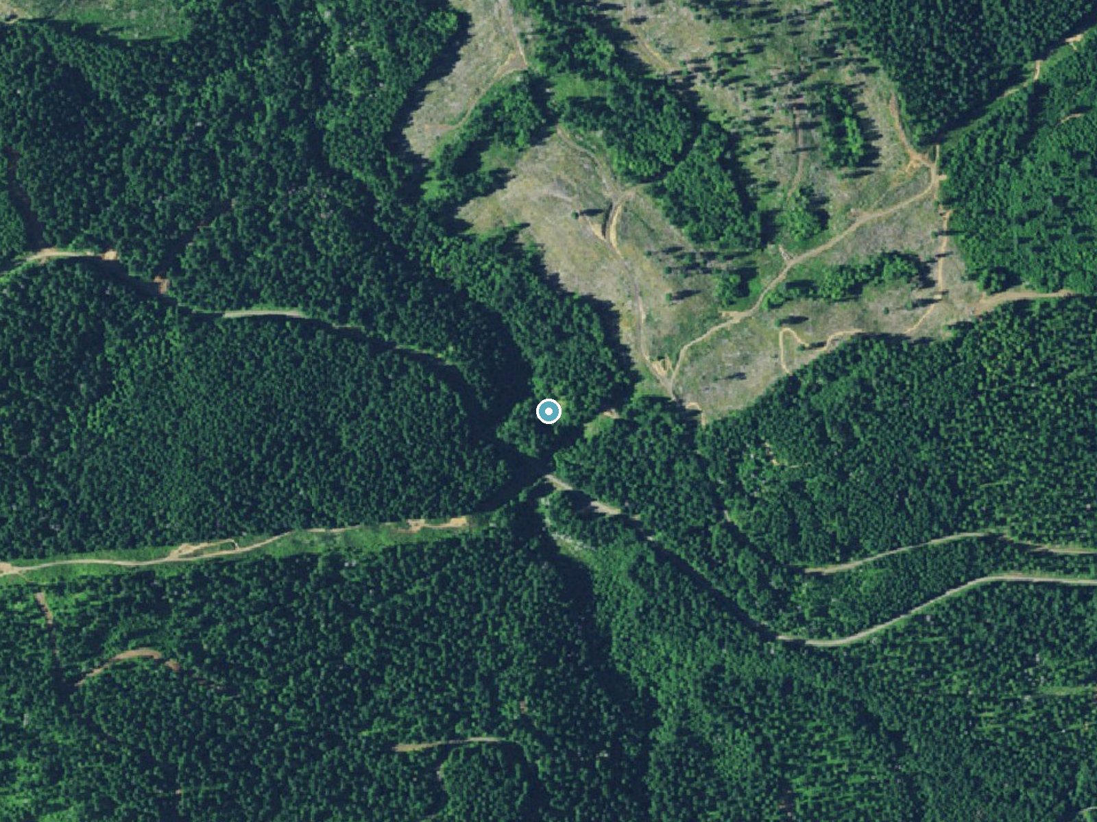 Aerial photo of the same ground around University Falls near Banks, Oregon, for comparison with the lidar view