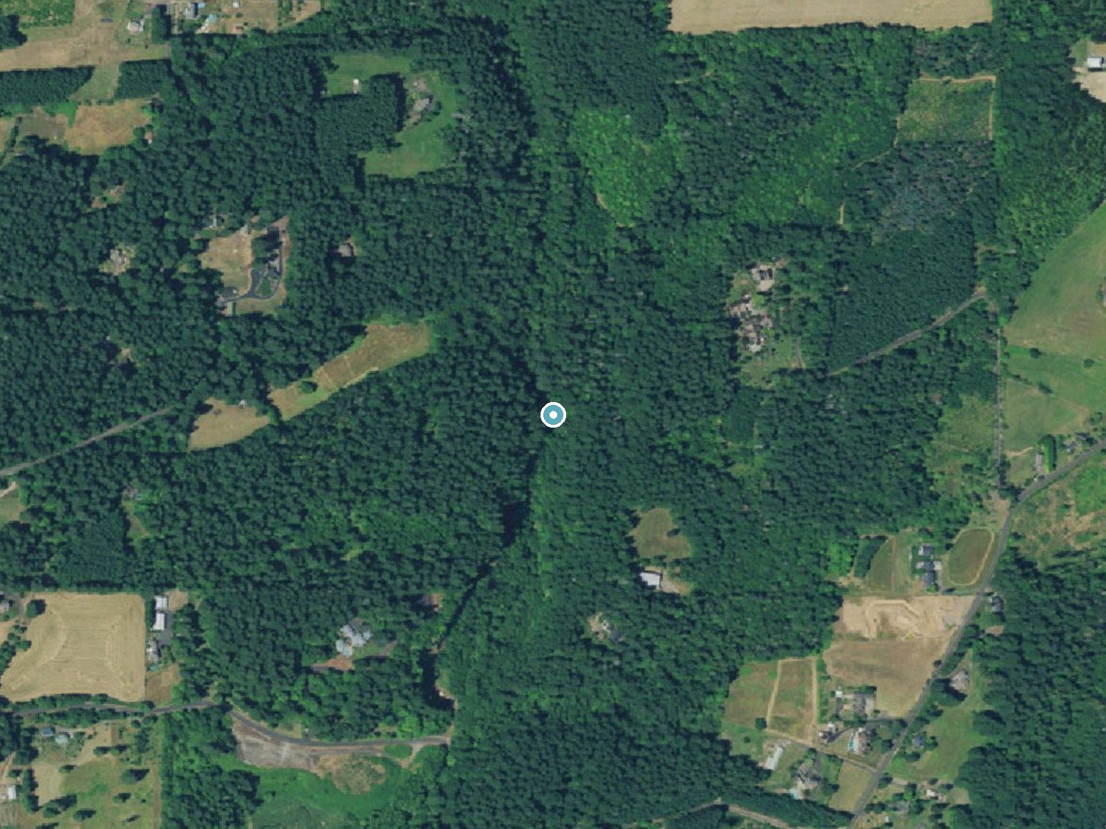 Aerial photo of the same ground around Jackson Falls near North Plains, Oregon, for comparison with the lidar view