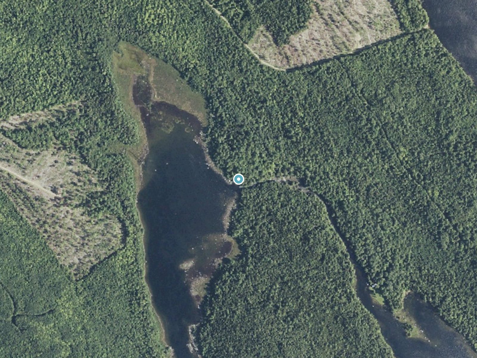 Aerial photo of the same ground around Mud Lake Falls near Danforth, Maine, for comparison with the lidar view