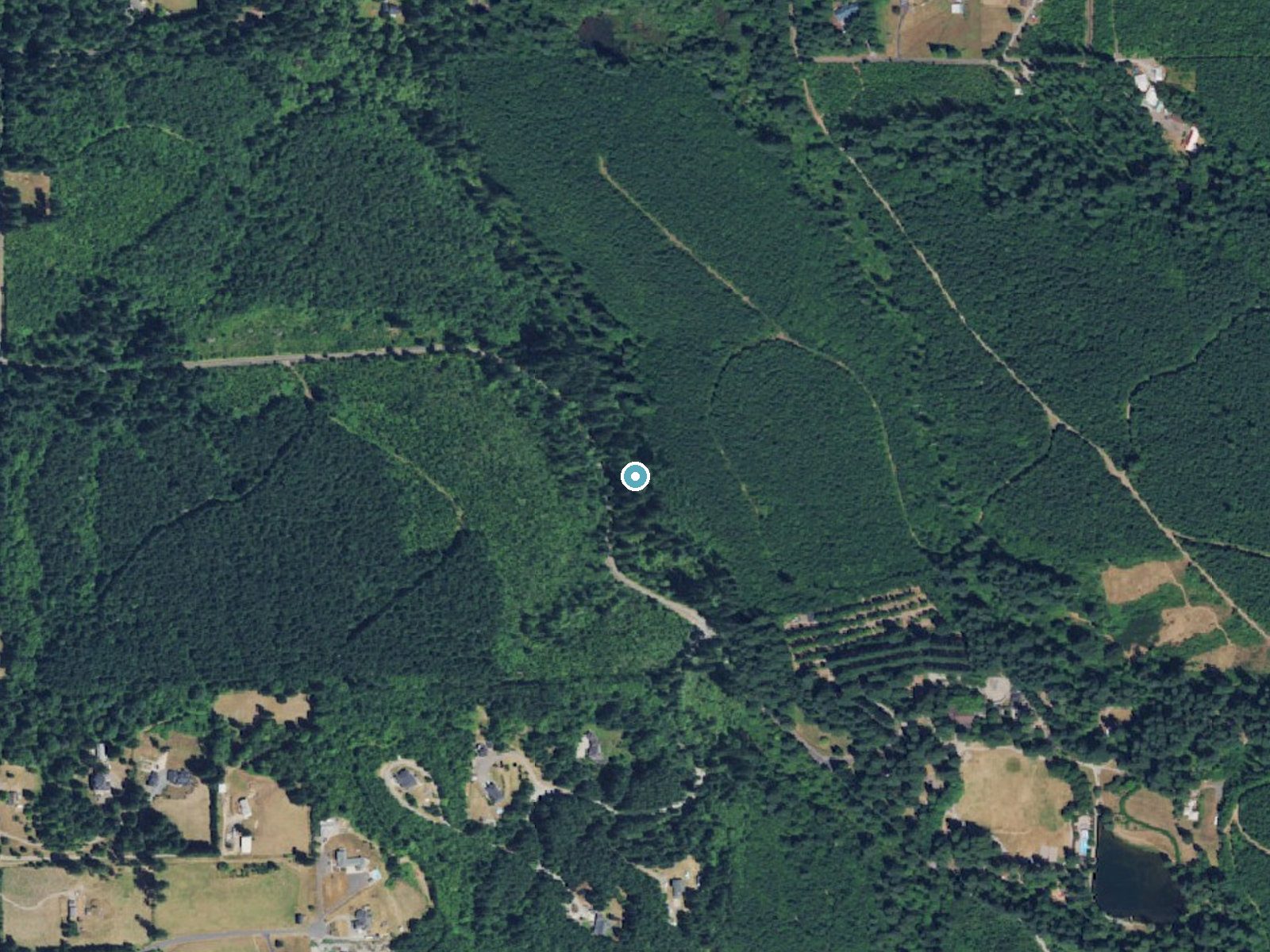 Aerial photo of the same ground around Salmon Falls near Venersborg, Washington, for comparison with the lidar view