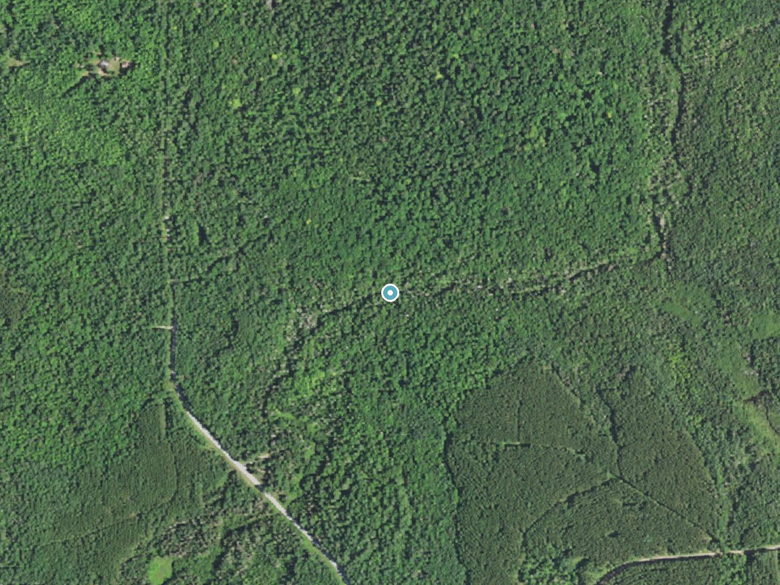 Aerial photo of the same ground around Haymeadows Falls near Rapid River, Michigan, for comparison with the lidar view
