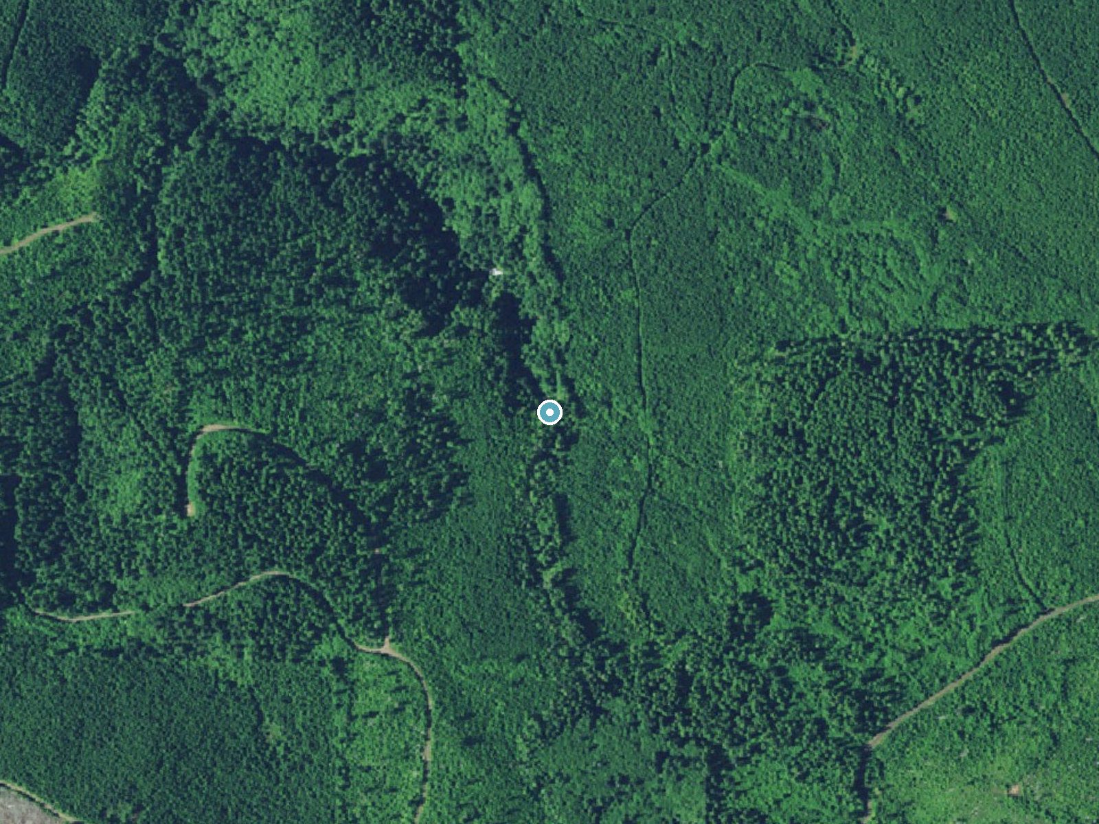 Aerial photo of the same ground around Gnat Creek Falls near Westport, Oregon, for comparison with the lidar view