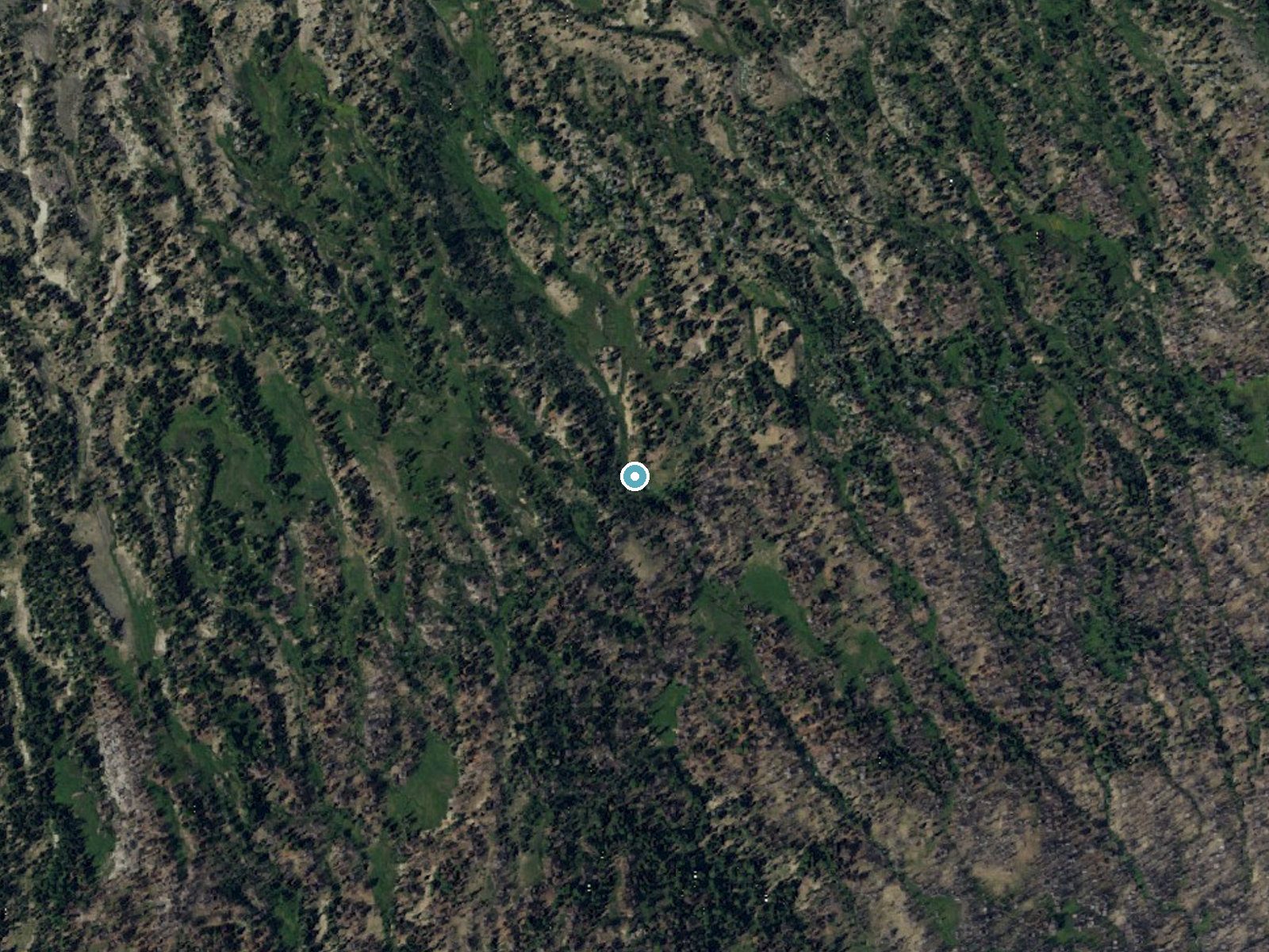 Aerial view of the ground around Crooked Creek Falls near Trout Lake, Washington