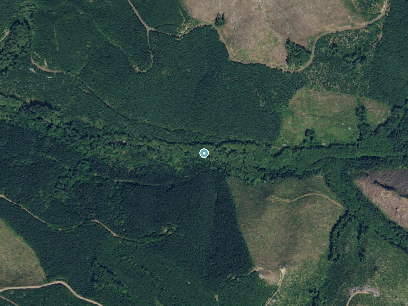 Aerial photo of the same ground around Washboard Falls near Amboy, Washington, for comparison with the lidar view