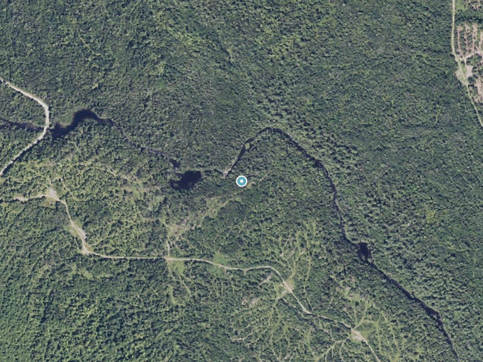 Aerial photo of the same ground around Sawtelle Falls near Patten, Maine, for comparison with the lidar view