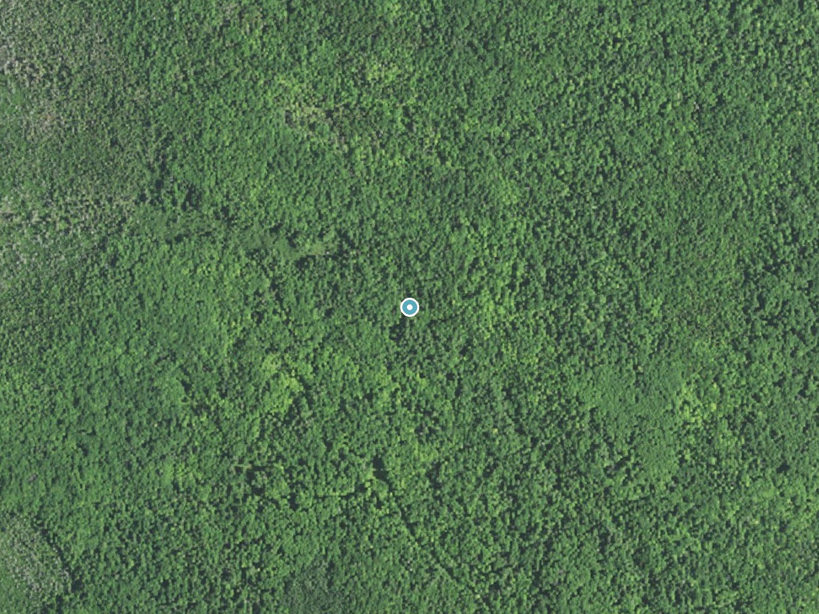 Aerial photo of the same ground around Cole Creek Falls near Chatham, Michigan, for comparison with the lidar view