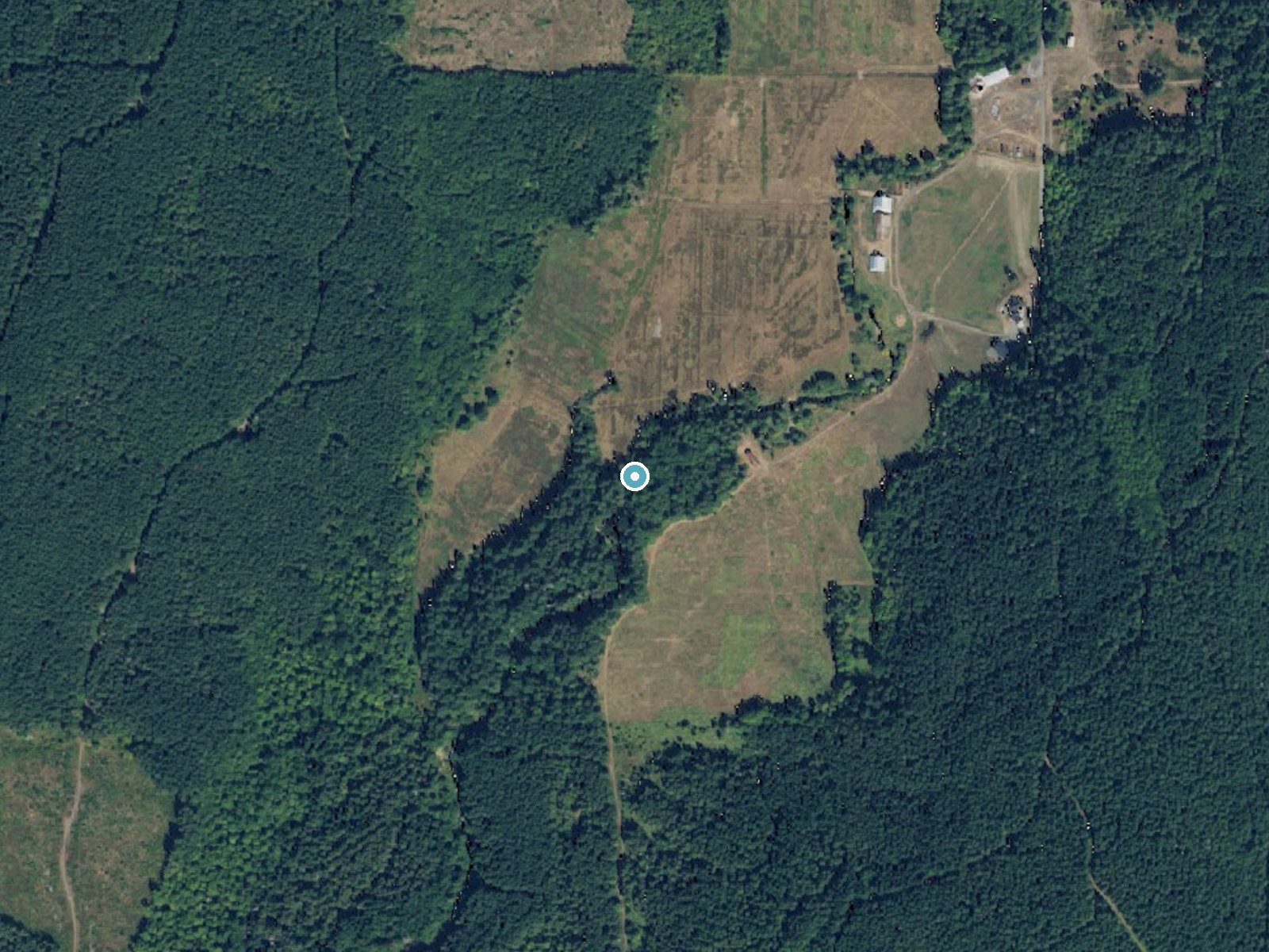 Aerial photo of the same ground around Cedar Creek Falls near Toledo, Washington, for comparison with the lidar view