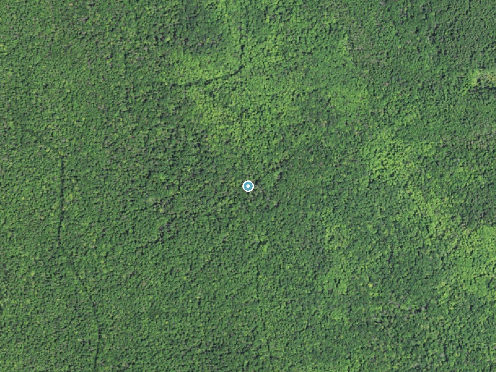 Aerial photo of the same ground around Silver Falls near Chatham, Michigan, for comparison with the lidar view