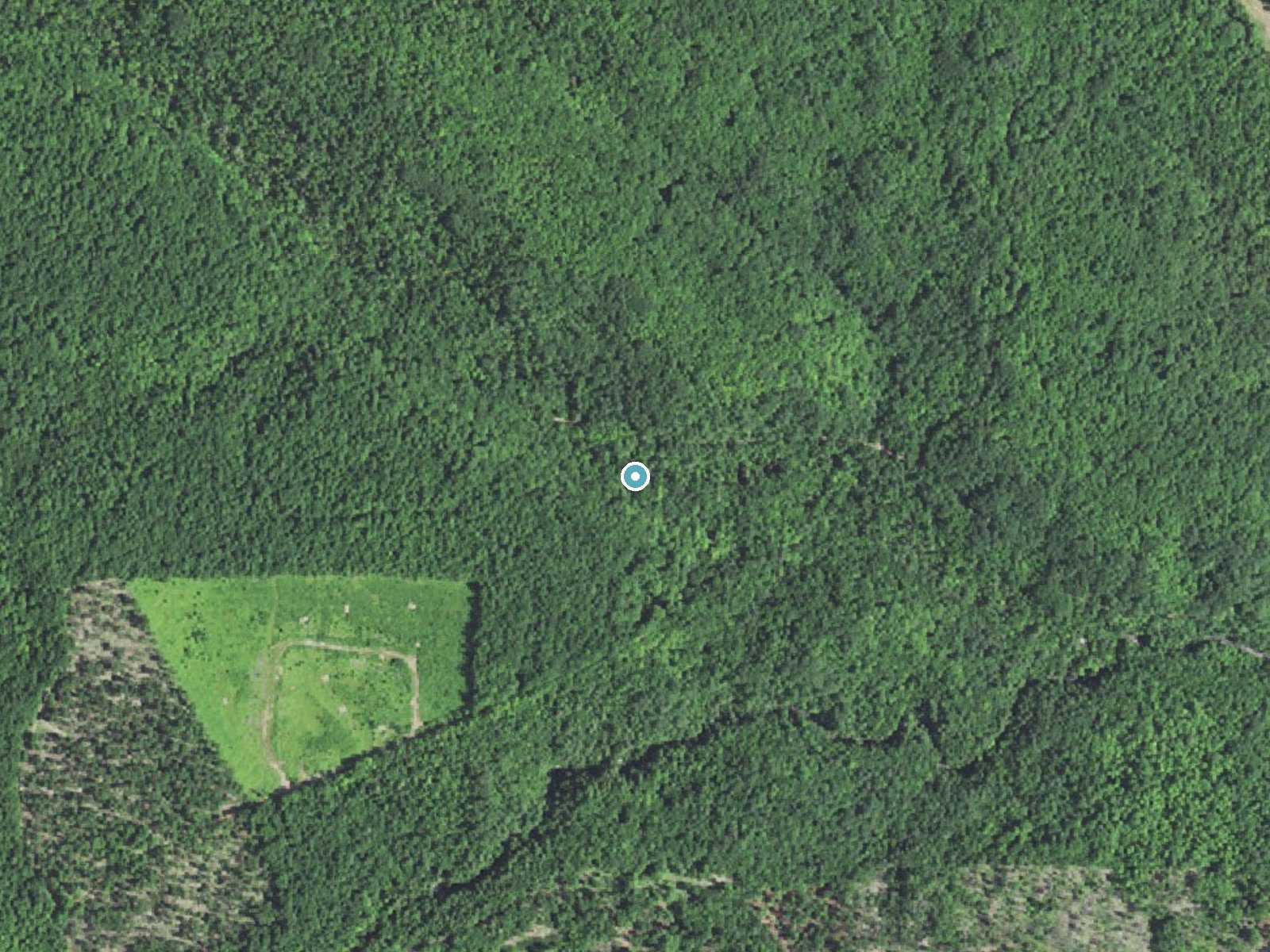 Aerial photo of the same ground around Lower Carp River Falls near Trowbridge Park, Michigan, for comparison with the lidar view