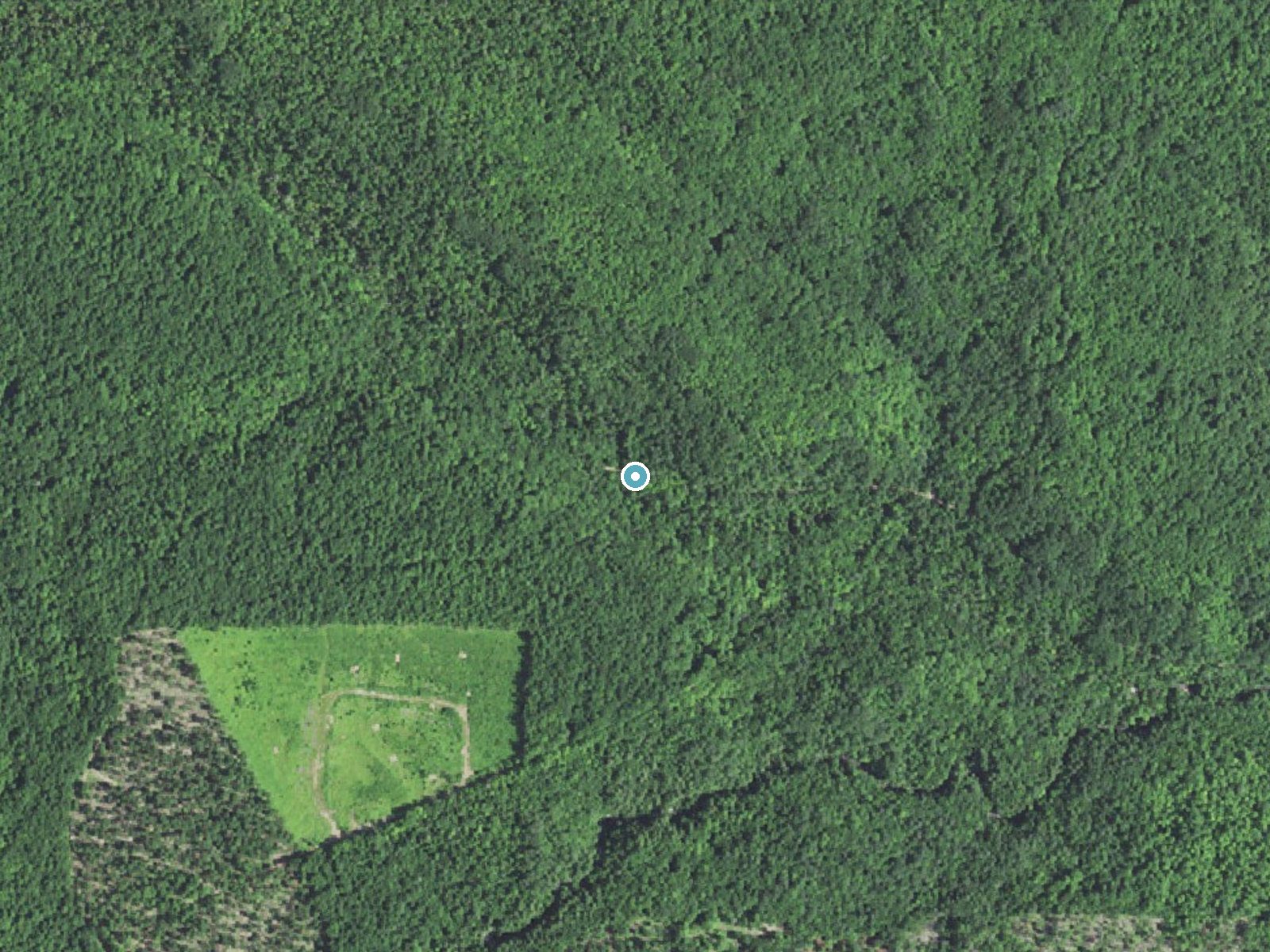 Aerial photo of the same ground around Morgan Falls near Trowbridge Park, Michigan, for comparison with the lidar view