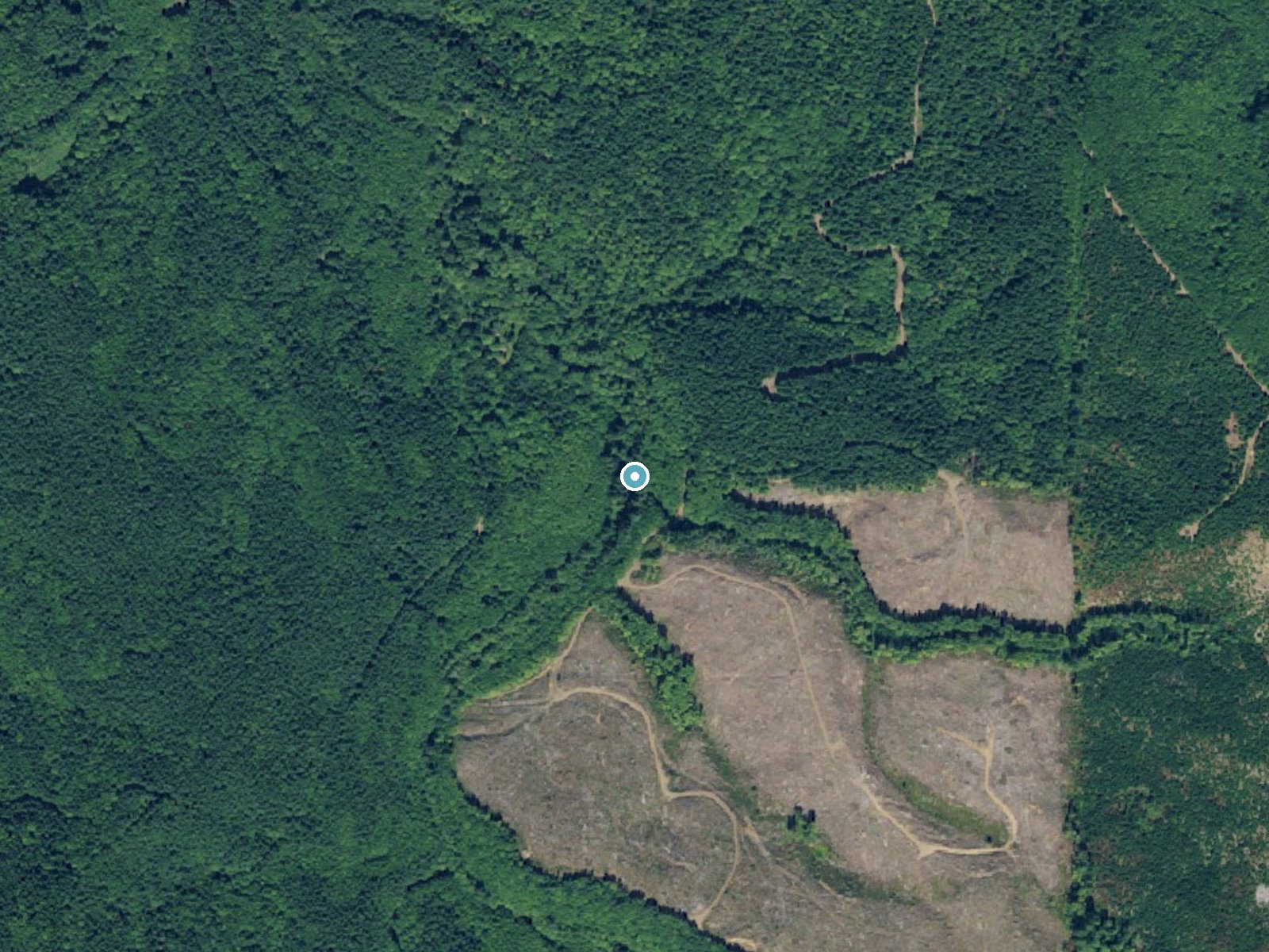 Aerial photo of the same ground around Willapa Falls near Lebam, Washington, for comparison with the lidar view