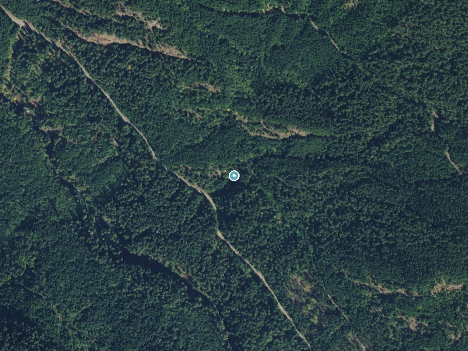 Aerial photo of the same ground around Jennings Falls near Packwood, Washington, for comparison with the lidar view