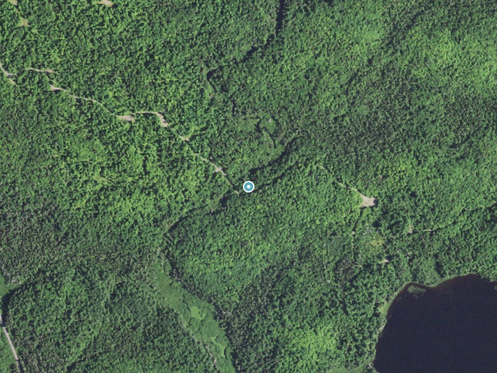 Aerial photo of the same ground around Upper Sturgeon Falls near Three Lakes, Michigan, for comparison with the lidar view
